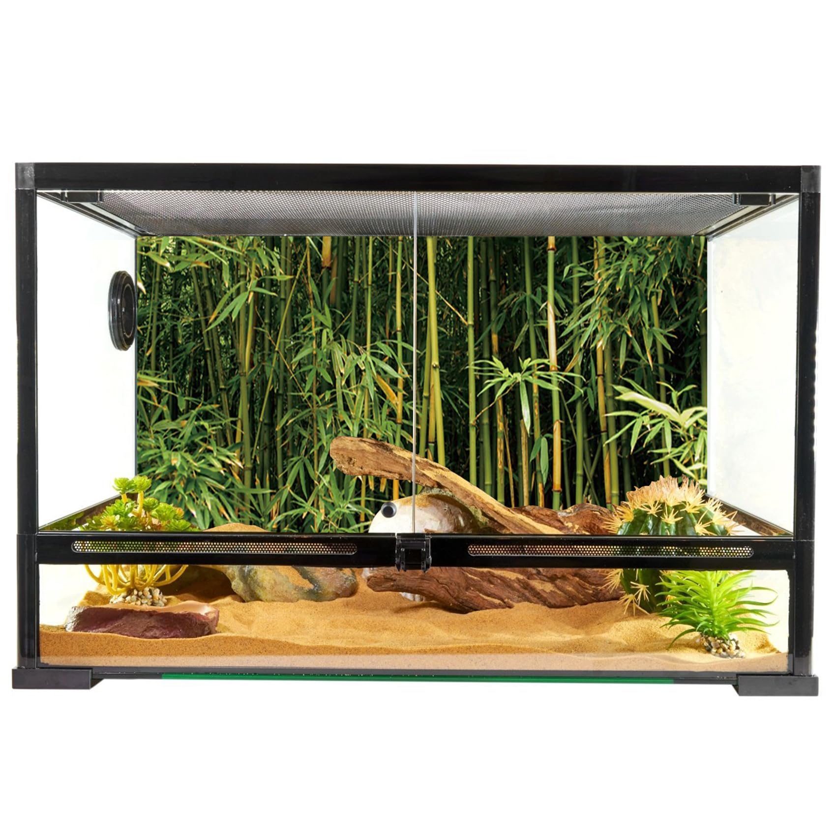 YongFoto 48x18 Inch Reptile Terrarium Background - Bamboo Forest Nature Scenery for Bearded Dragon Habitat, Fish Tank & Aquarium Backdrop | Perfect for Reptile Enclosures, Vivariums and Aquatic Displays