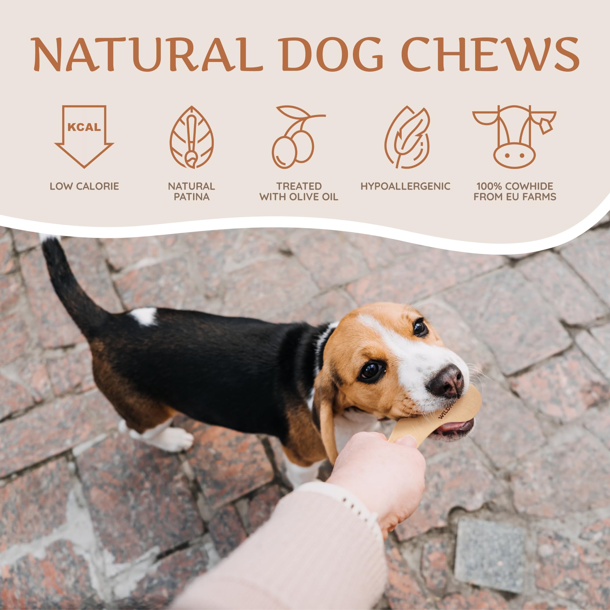 Premium Wildfang Leather Bones for Dogs - Durable Long-Lasting Natural Leather Chew Toys for Aggressive Chewers, Puppy Teething, and Dental Health - Set of 3 - Perfect for Training, Playtime & Anxiety Relief