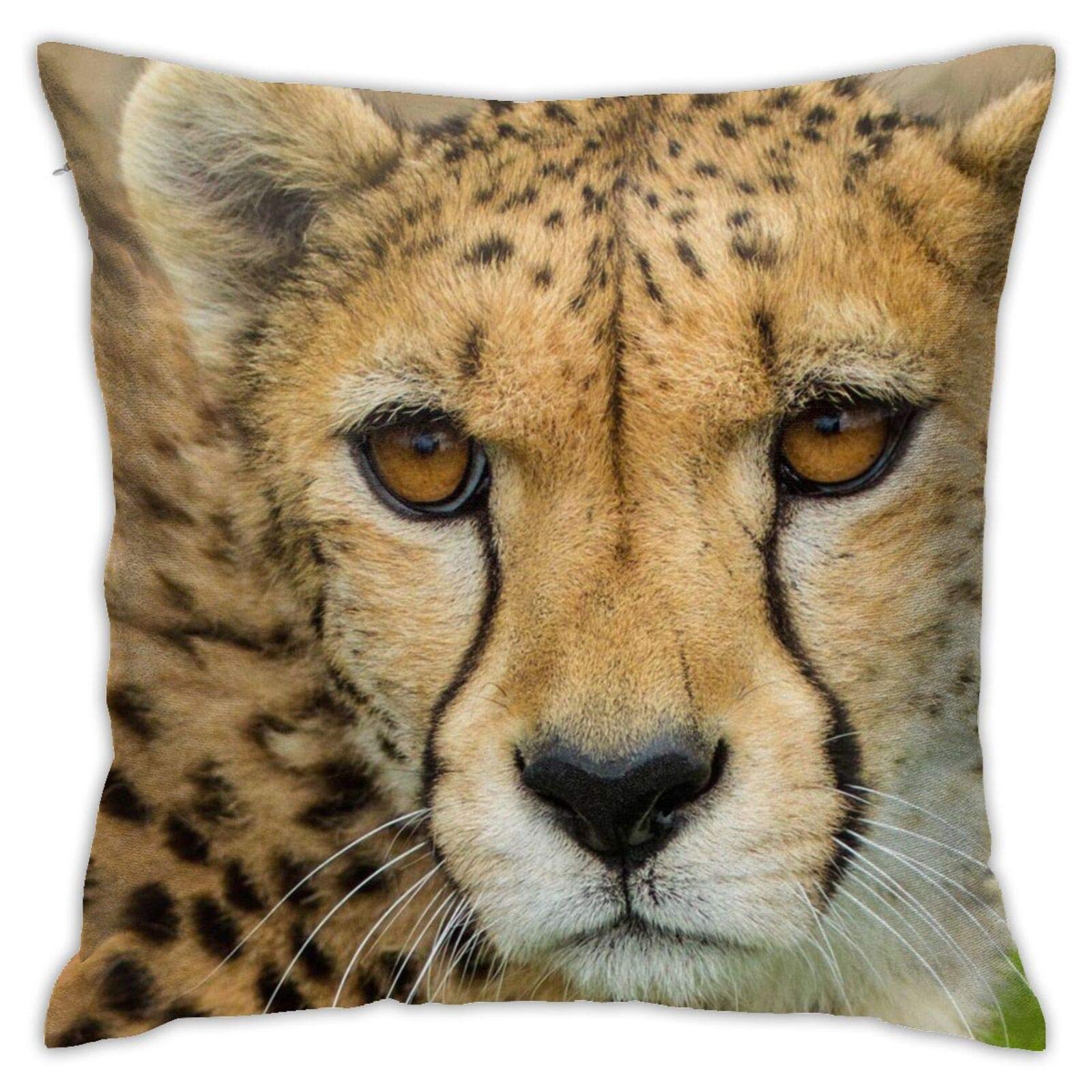 Jreergy Cheetah Print Square Throw Pillow Covers 18x18 Inch - Soft Decorative Couch Pillow Cases for Sofa, Living Room, Bed & Car - Animal Print Home Decor Accent