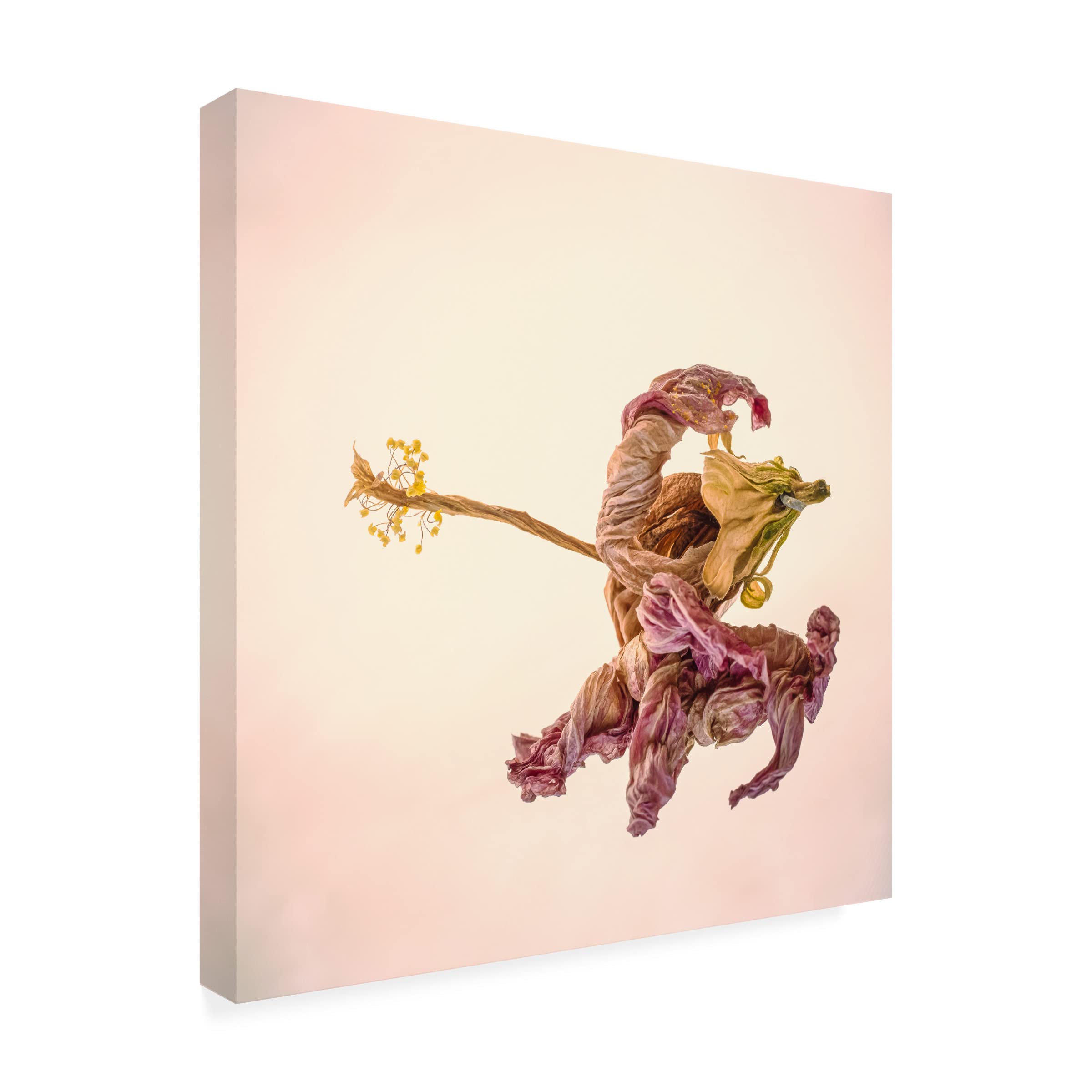 Trademark Fine Art 'Durma' Canvas Wall Art by Nicky Westphal - Stunning Hand-Painted Oil Reproduction for Living Room, Bedroom & Office Decor