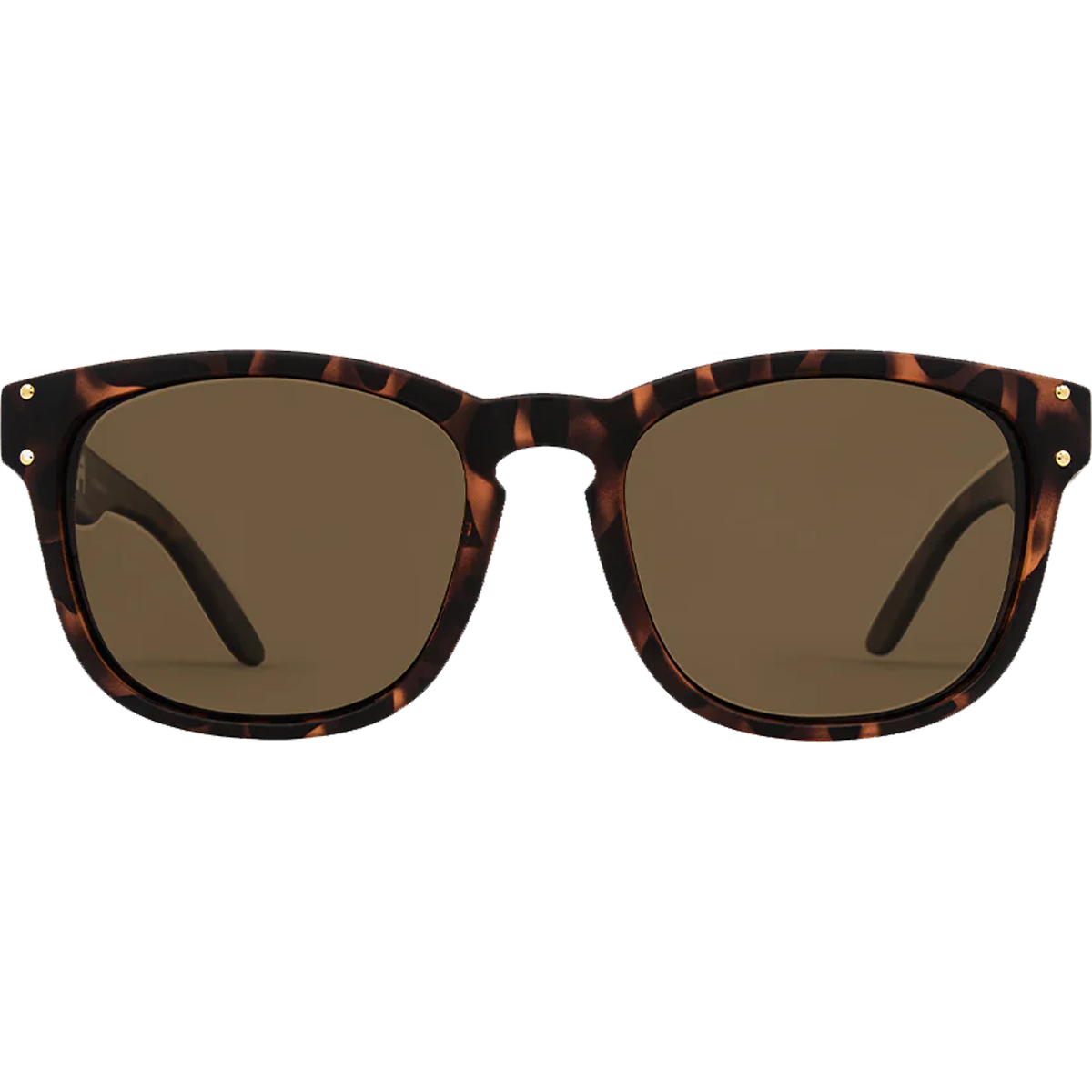 Matte Tort + Brown Polarized