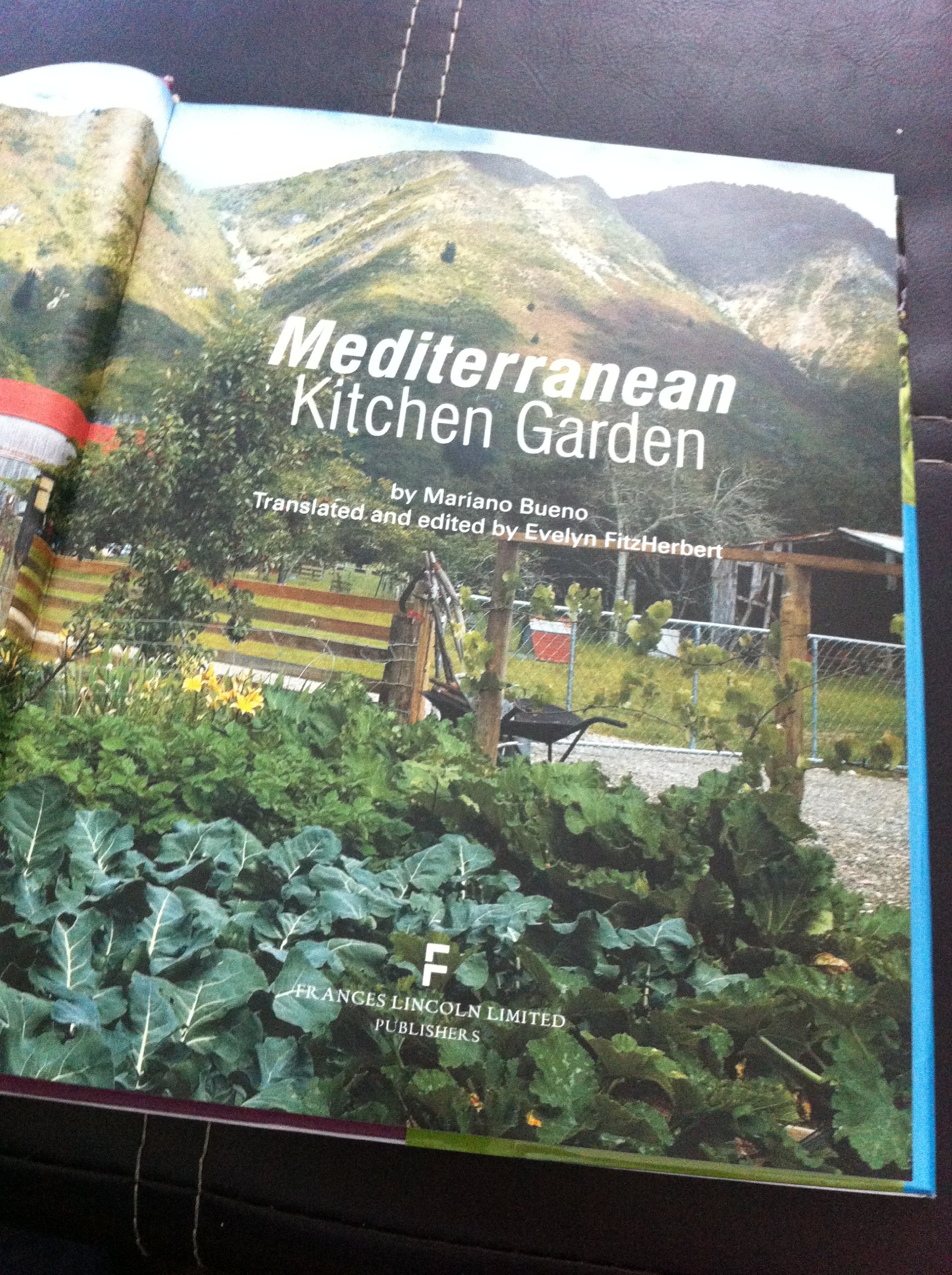 Organic Mediterranean Kitchen Garden Seeds - Grow Fresh Herbs & Vegetables at Home | Perfect for Indoor & Outdoor Gardening, Cooking & Healthy Eating