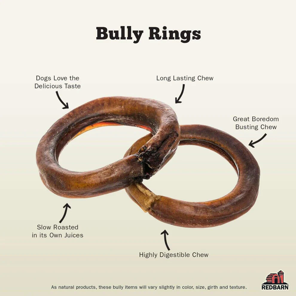 Bully Ring Small - Durable and Stylish Dog Collar for Small Breeds - Perfect for Training, Walks, and Everyday Use