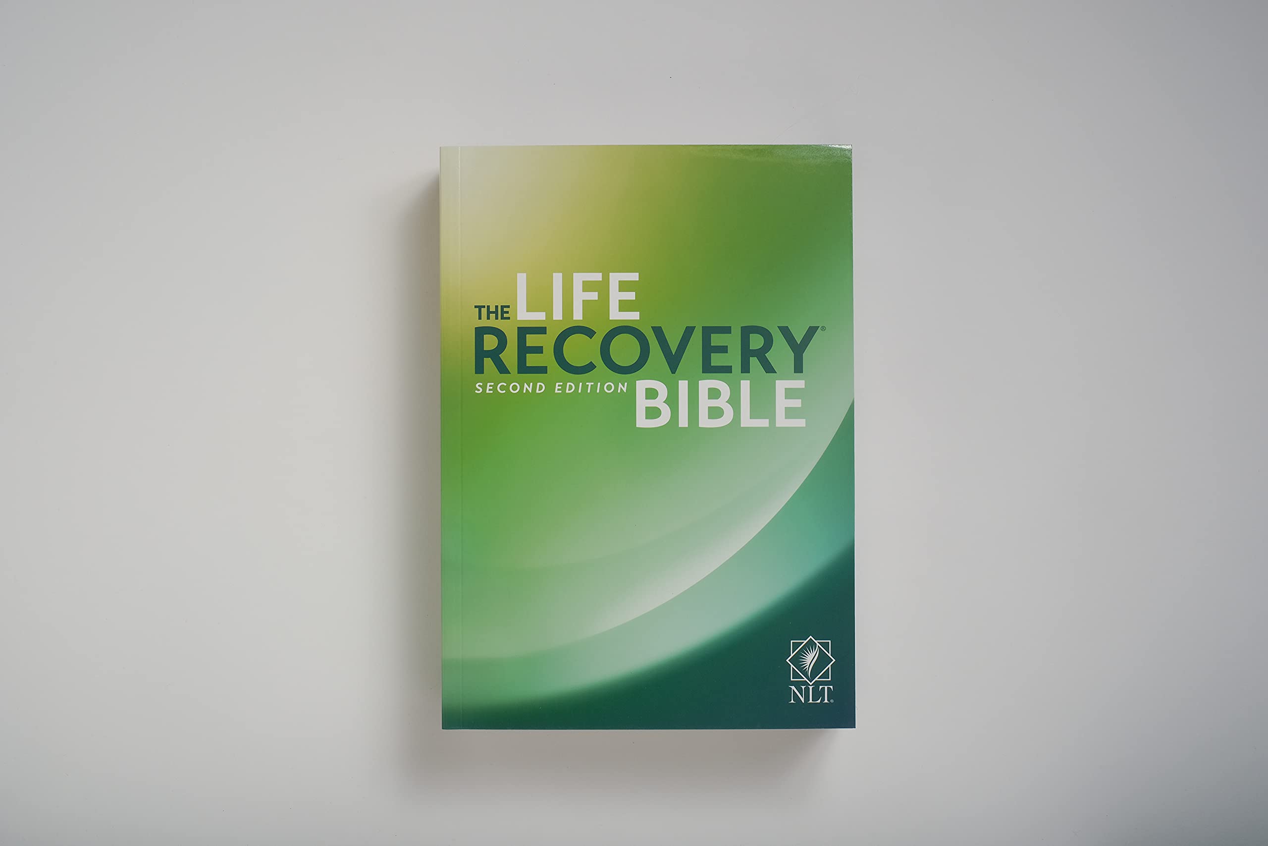 Life Recovery Bible, 2nd Edition Softcover – 12-Step Addiction Recovery Bible for Drugs, Alcohol & Personal Struggles with Meeting Guide | Christian Devotional, Support Groups & Spiritual Healing