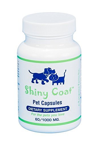Shiny Coat Pet Capsules for Dogs & Cats - Omega 3 Fish Oil Supplement for Healthy Skin & Coat - Supports Fur Growth & Reduces Shedding - Perfect for Daily Pet Care & Grooming Routine