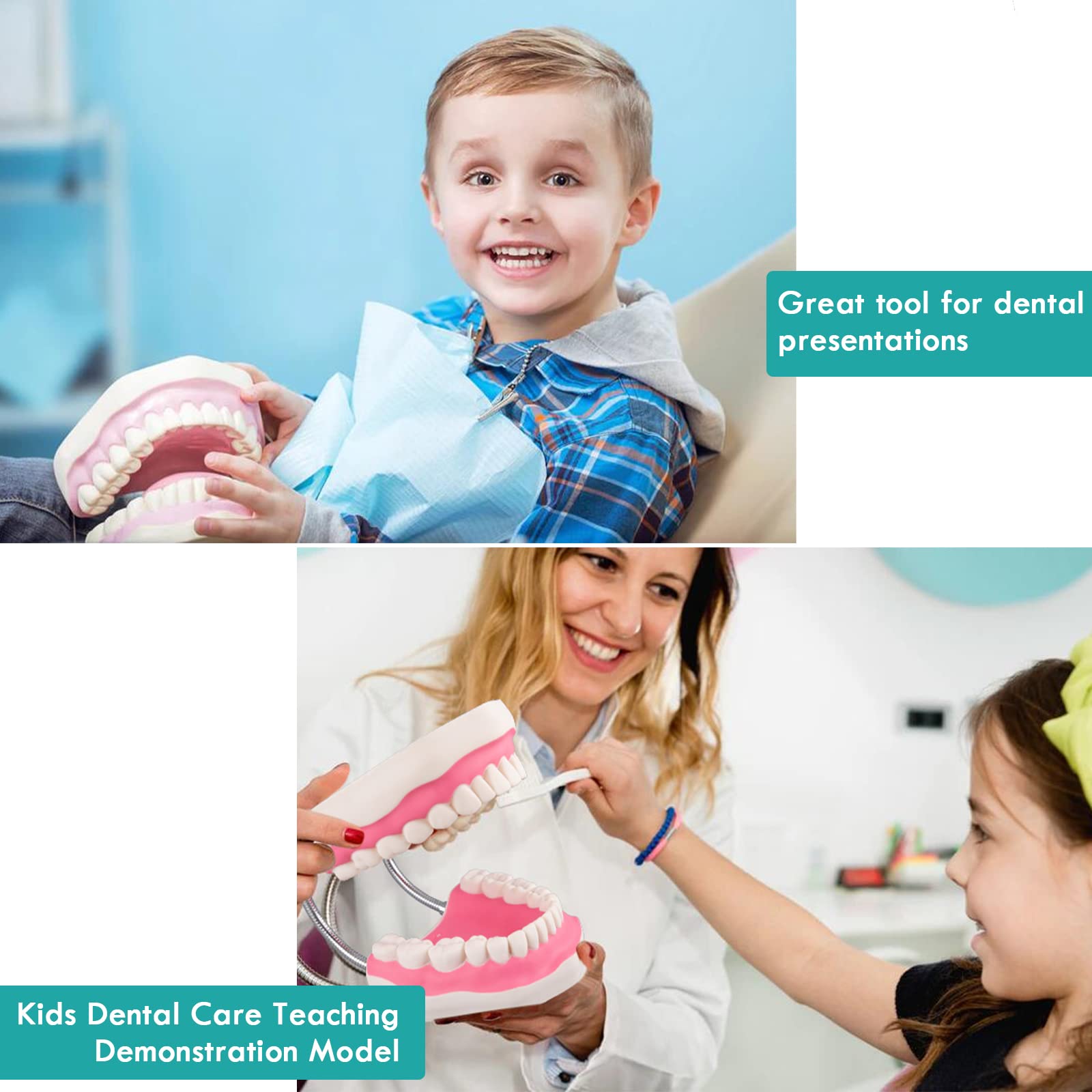 6X Dental Hygiene Teeth Model with Movable Tongue & Denture Toothbrush - Speech Therapy Mouth Model for Dentists & Students - Perfect for Dental Education, Practice & Patient Demonstration