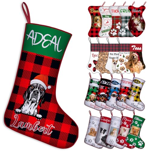 Dog Grid_red Black