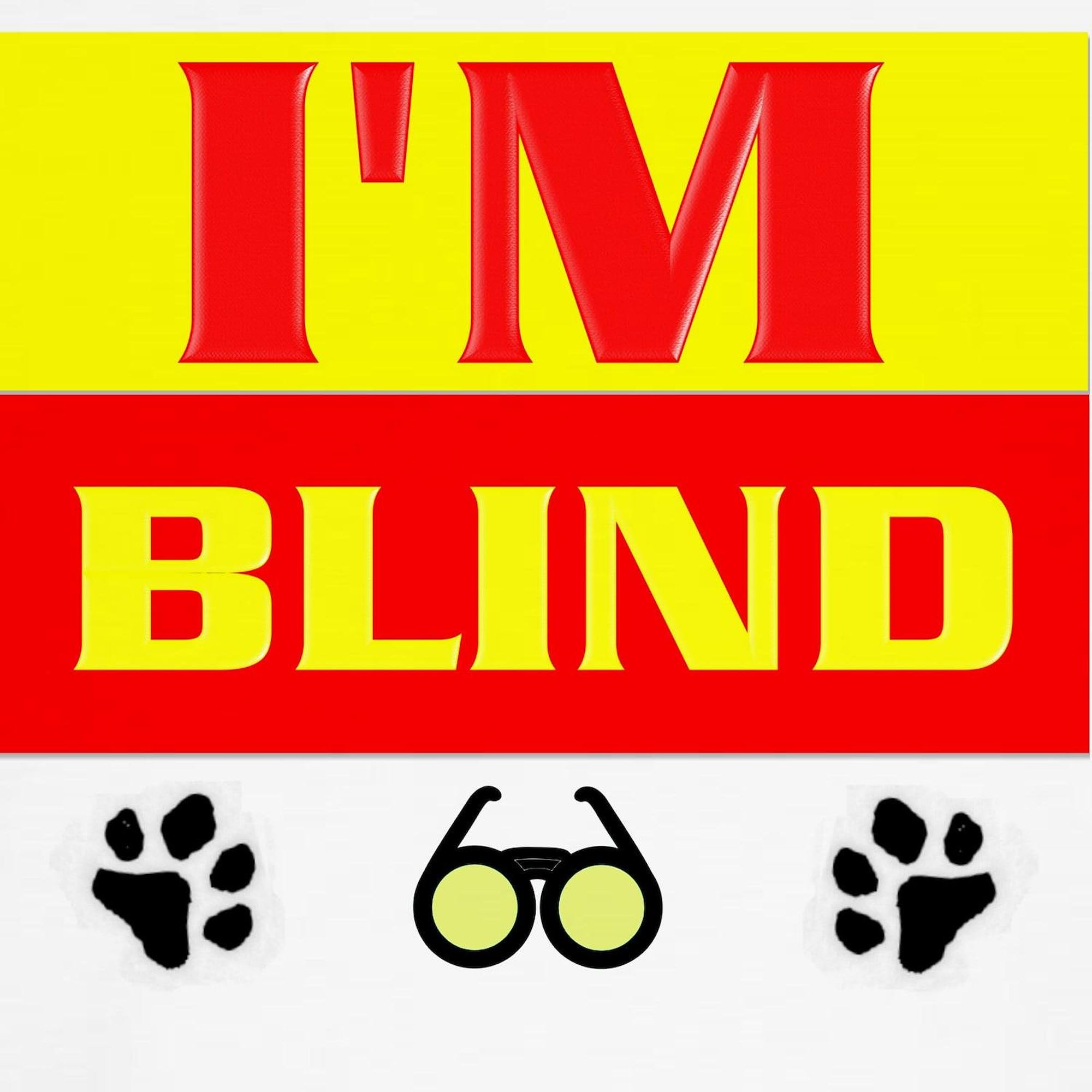 Blind Dog T-Shirt - Funny Pet Clothing & Costume for Visually Impaired Dogs - Perfect for Dog Lovers, Awareness Events & Cute Photo Shoots