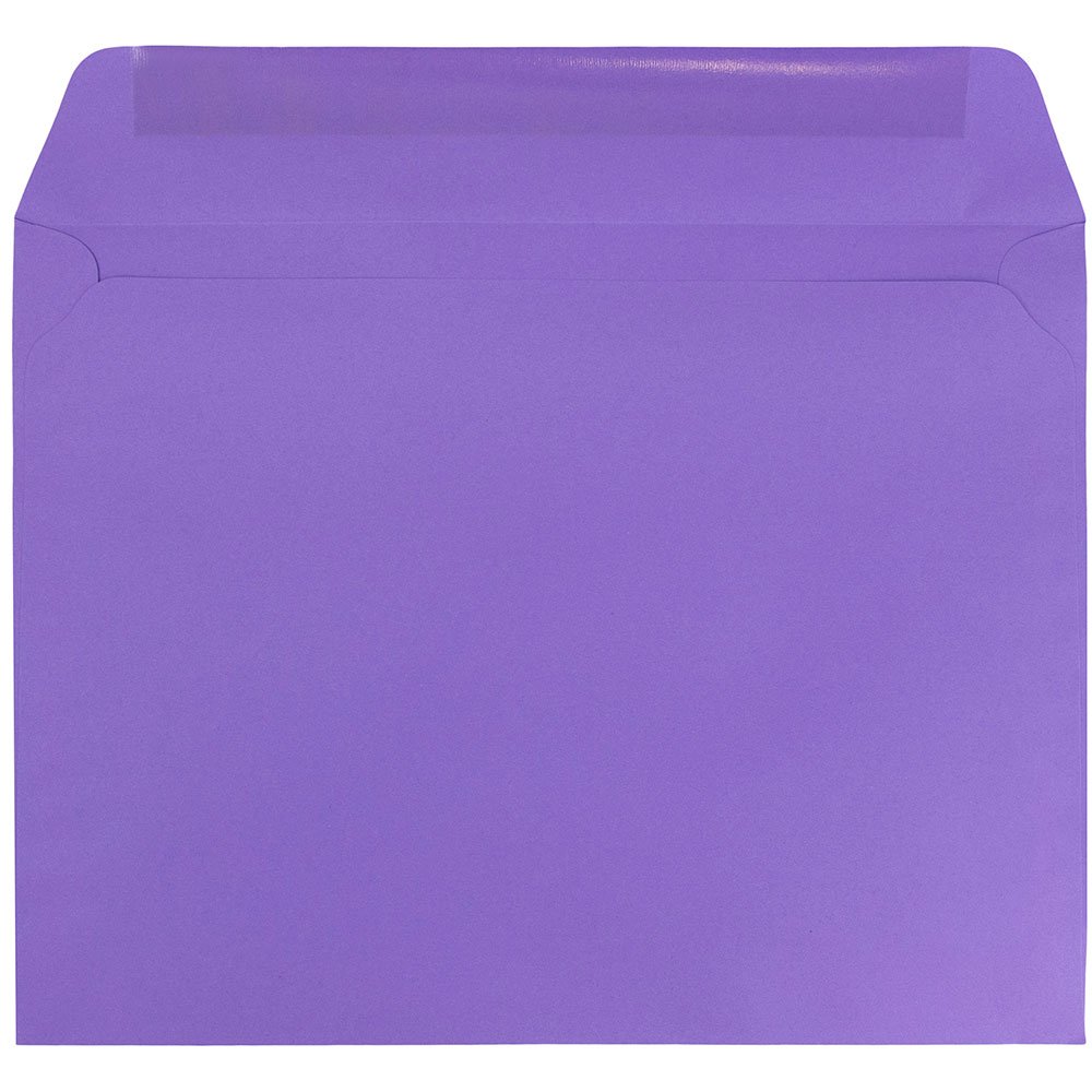 JAM PAPER 9 x 12 Inch Colored Envelopes - Bulk 250 Pack, Violet Purple Recycled Paper - Perfect for Wedding Invitations, Greeting Cards & Business Mailings