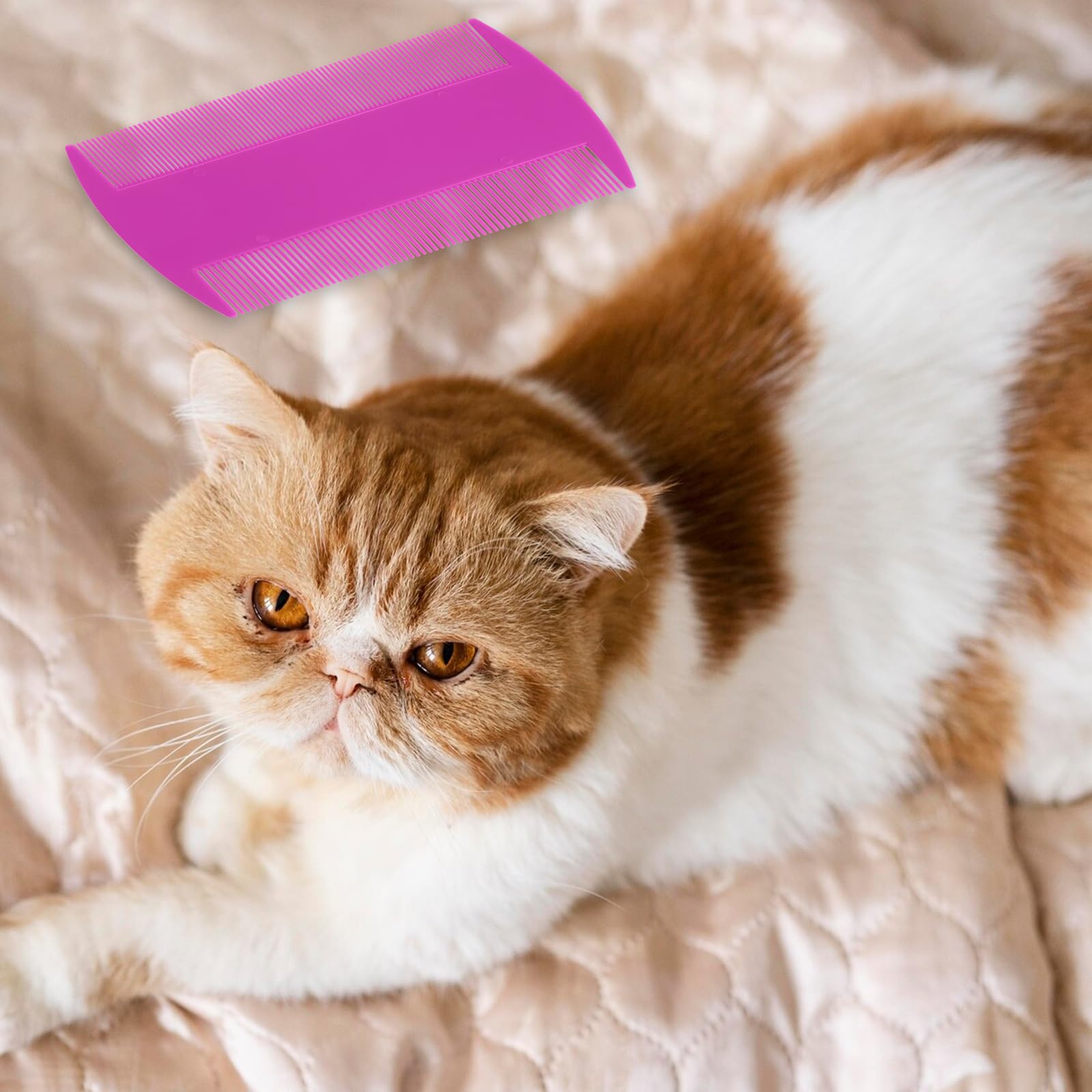 14 Pack Double Sided Fine Tooth Flea Comb for Dogs & Cats - Plastic Pet Lice Comb for Healthy Skin & Soft Fur - Multi-color Pet Grooming Kit for Flea Removal & Coat Care at Home