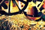 Cowboy Hat