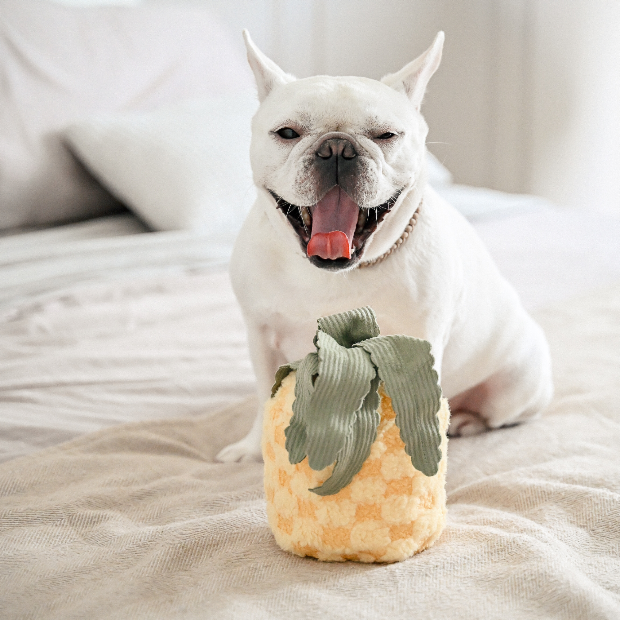 Pineapple Pop - Refreshing Pineapple Flavored Soda | Perfect for Summer BBQs, Pool Parties & Picnics