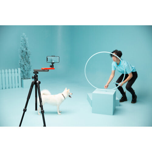Joby Swing Complete Kit - Professional Camera Stabilizer for DSLR & Mirrorless Cameras | Perfect for Vlogging, Travel & Action Shots | Includes Mounting Accessories & Carry Case