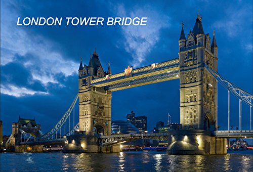 London Tower Bridges-d1