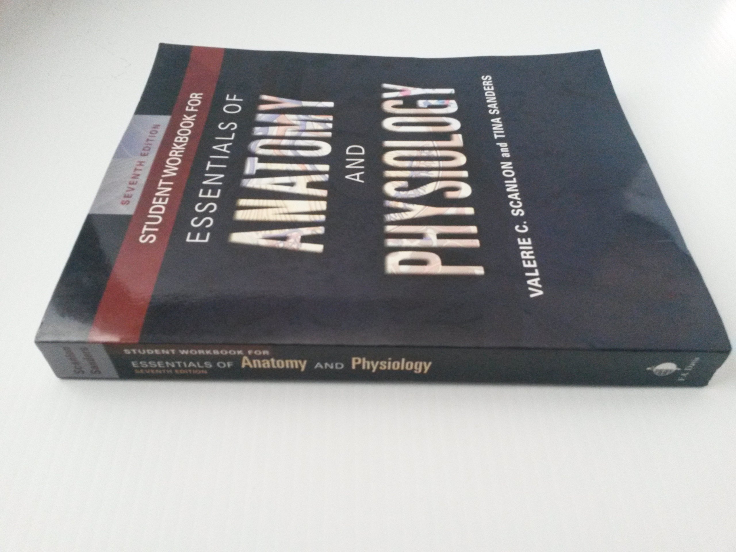 Anatomy and Physiology Student Workbook - Essential Study Guide for Medical & Nursing Students | Perfect for Exam Prep & Classroom Use