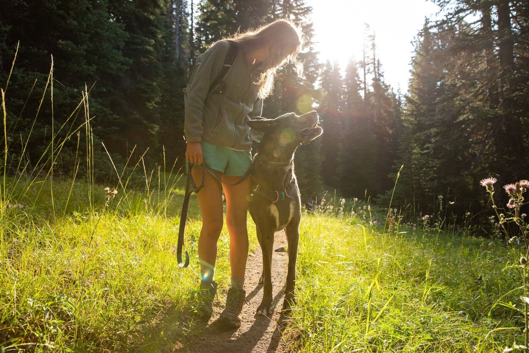 Ruffwear Minimalist Switchbak Dog Harness in Blue Moon - Lightweight & Adjustable for Hiking, Running & Outdoor Adventures