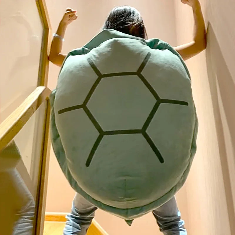 turtle shell