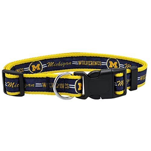 Michigan Wolverines