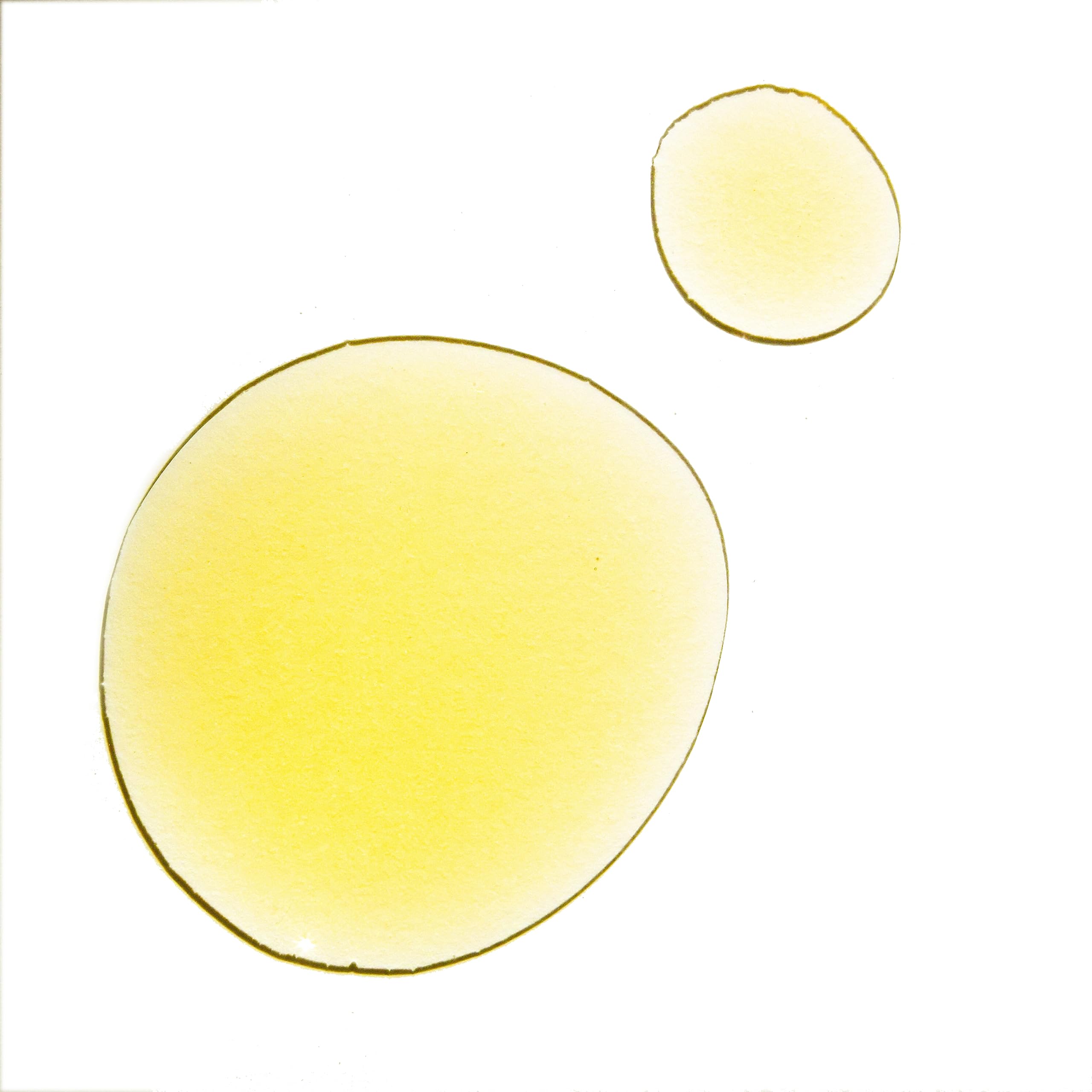 UMA Pure Rest Wellness Oil for Fatigue & Restlessness - 100% Organic Ayurvedic Essential Oil for Deep Sleep & Relaxation (1 fl oz | 30 ml) - Perfect for Nighttime Routine, Stress Relief & Natural Calming