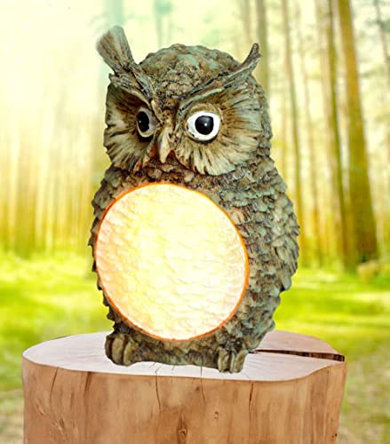 owl