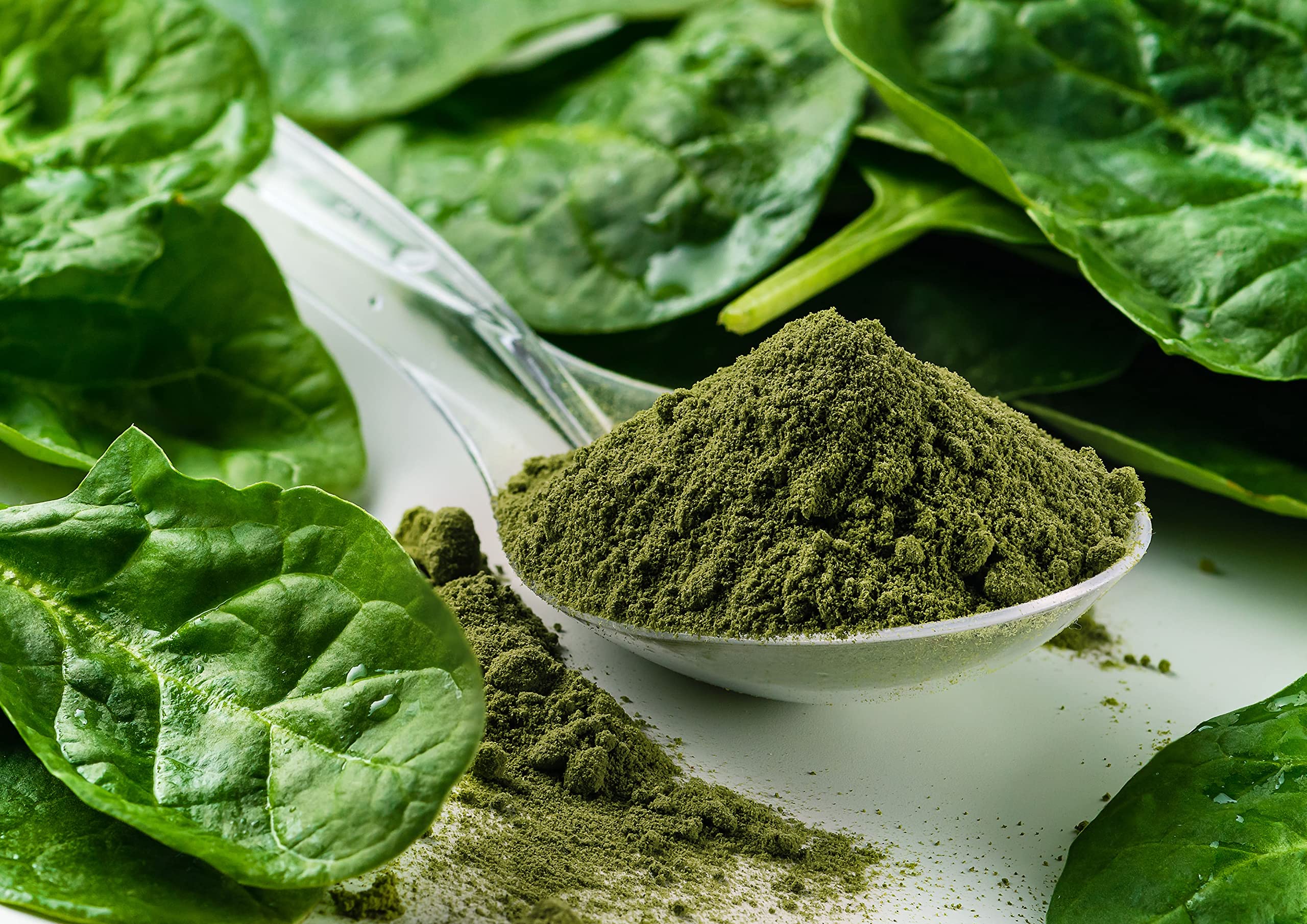 Organic Spinach Powder 16 lbs - Non-GMO, Vegan, Kosher, Dehydrated Spinach Leaves | Rich in Fiber, Vitamin A & Iron | Perfect for Smoothies, Baking, Yogurt, Oatmeal & Healthy Recipes