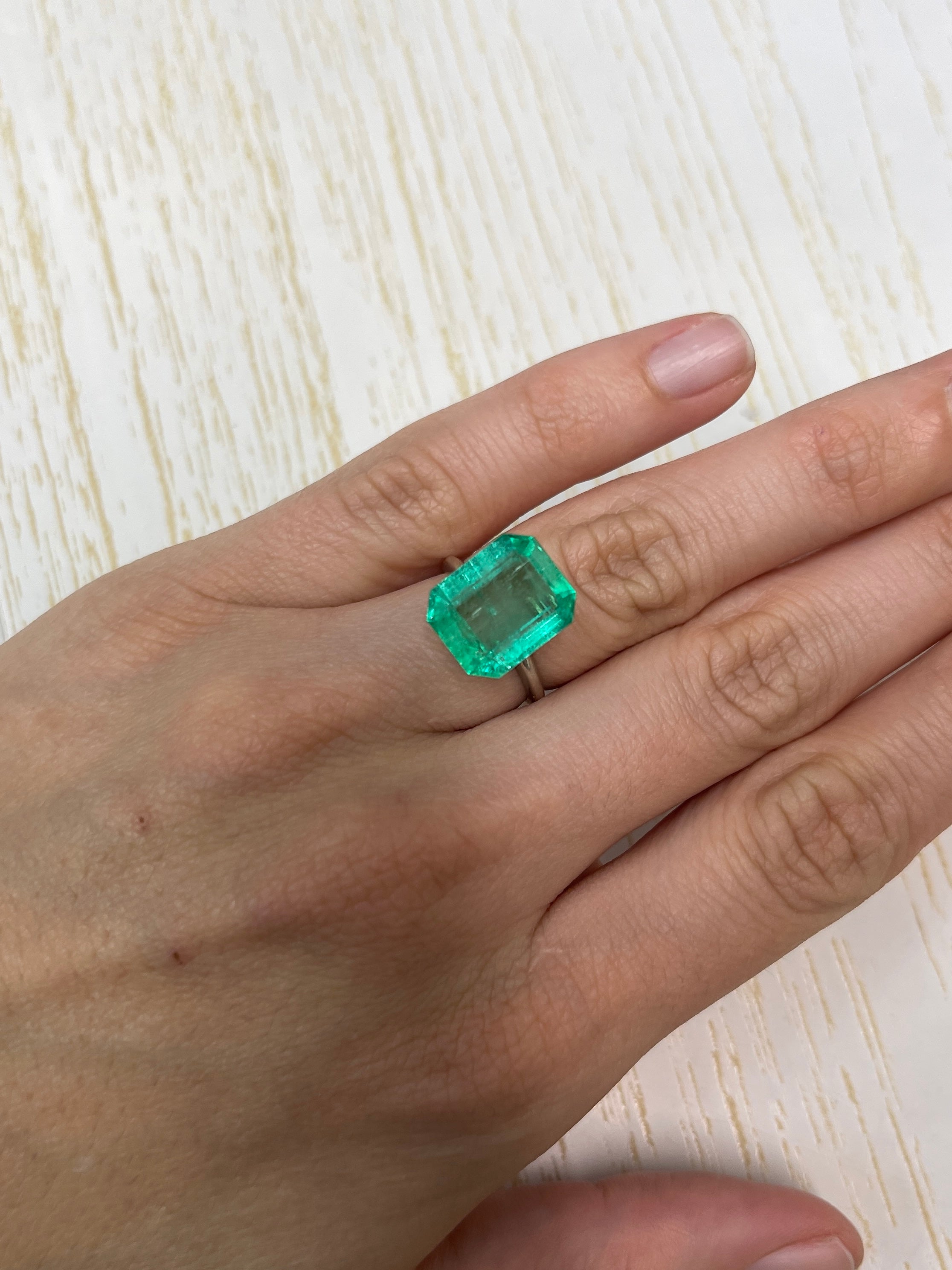 8.20 Carat 14x11.4mm Medium Green Colombian Emerald Cut Loose Gemstone - Perfect for Engagement Rings, Fine Jewelry & Collector's Pieces