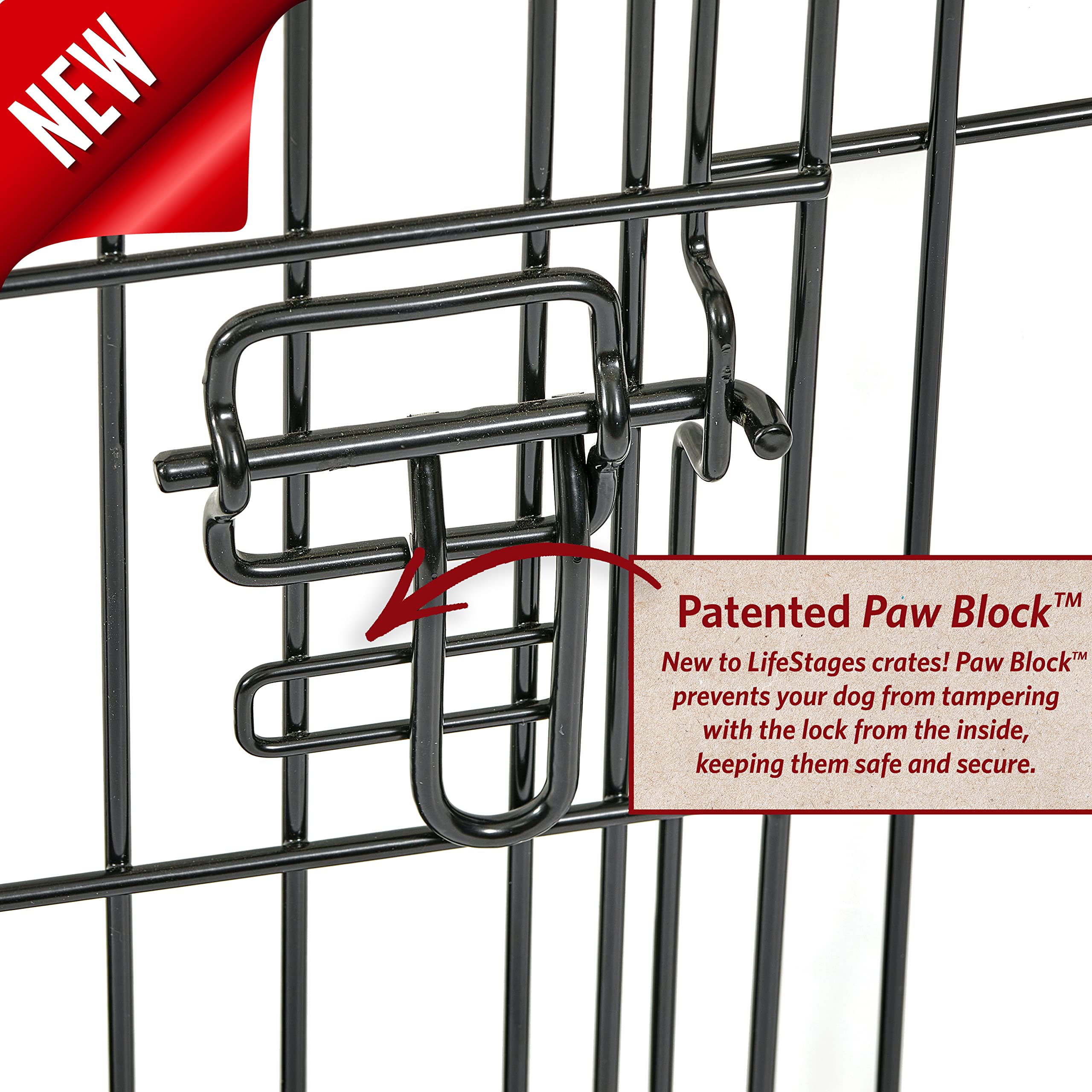 MidWest Homes for Pets Medium Dog Crate - 30 Inch Double Door Folding Metal Dog Kennel with Divider Panel & Floor Protectors | Ideal for Training, Travel & Home Use | 30.6L x 19.3W x 21.4H Inches