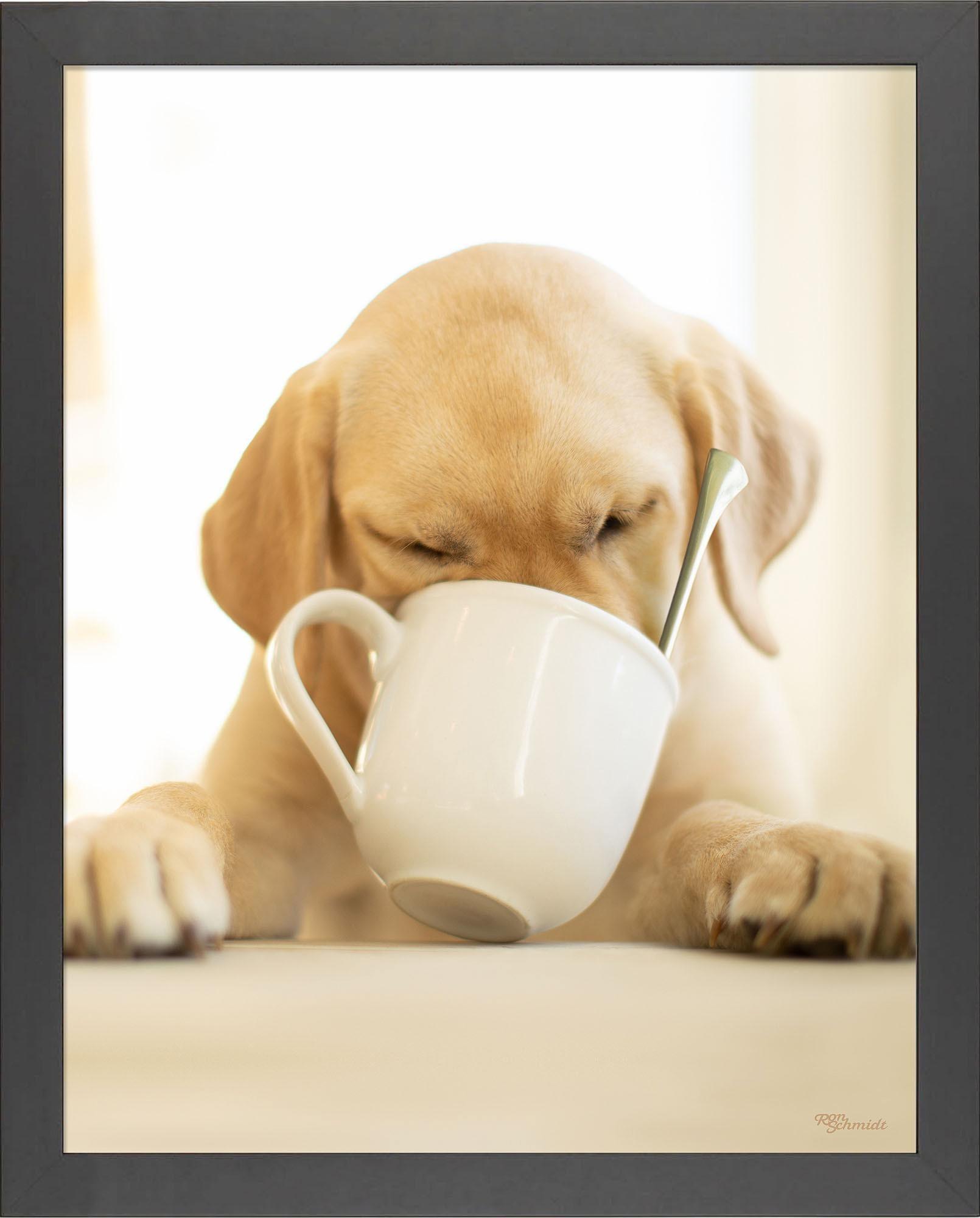 Premium Coffee Mug with Unique Art Prints - Perfect for Home, Office & Gifts | Ceramic Travel Mug for Coffee & Tea Lovers