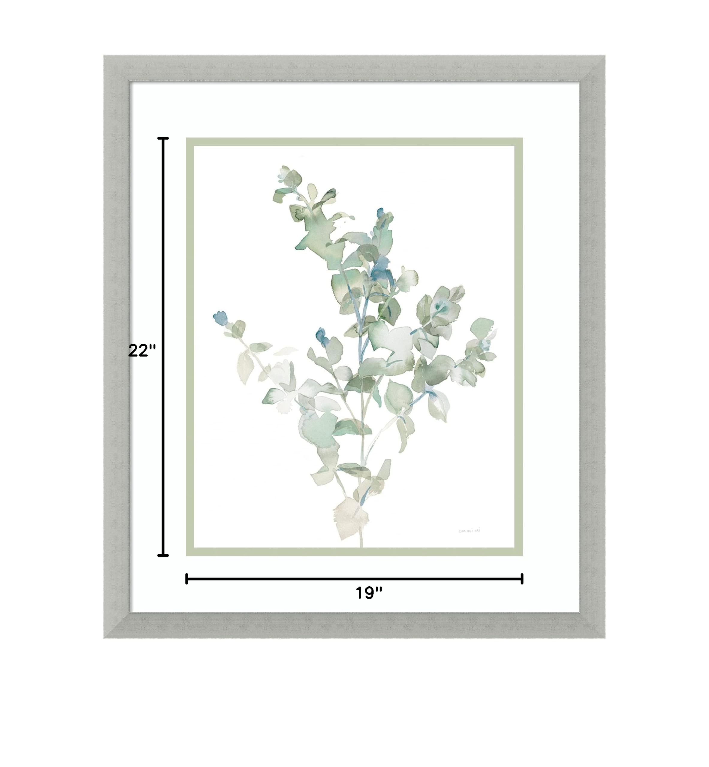 Amanti Art Framed Wall Art Print 22x19 - Eucalyptus II Cool by Danhui Nai | Nature Inspired Modern Contemporary Decor | Medium Poster Painting for Living Room, Bedroom, Office | Perfect for Home & Office Decoration