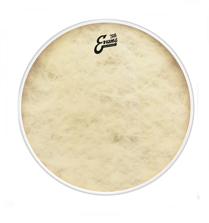 Evans TT16CT 16 Inch 56 Calftone Tom Drumhead - Premium Drum Head for Live Performances, Studio Recording & Practice Sessions
