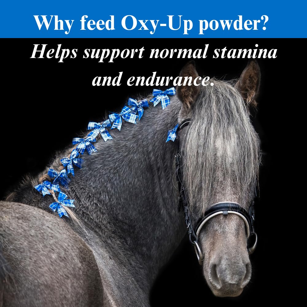 Oxy-Up Performance Horse Supplement for Stamina & Endurance - Wheat Germ Extract, B-Complex Vitamins & Magnesium - 12.5 lb (6 Month Supply) - Ideal for Racing, Training & Show Horses