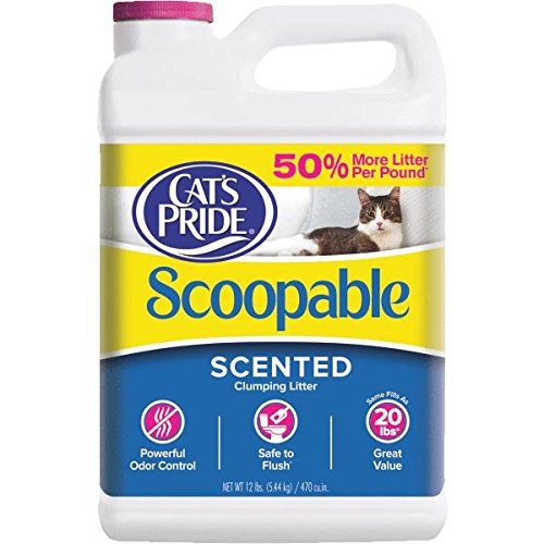 Premium Cat's Pride Scoopable Clumping Cat Litter - Low Dust, 99% Dust Free, Long-Lasting Odor Control - Ideal for Multi-Cat Homes & Small Spaces