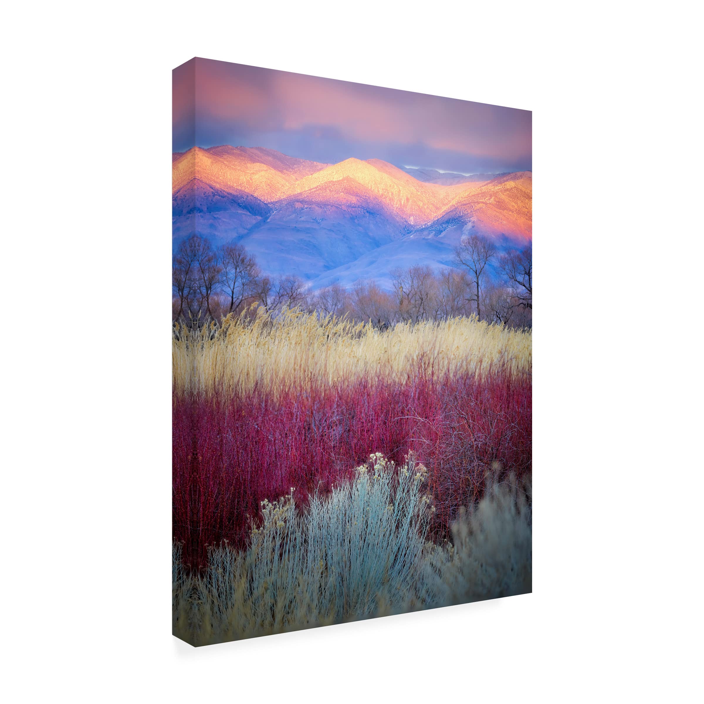Kirbyturnage 'Field Layers' Canvas Wall Art - Modern Abstract Painting for Living Room, Bedroom & Office Decor | Trademark Fine Art