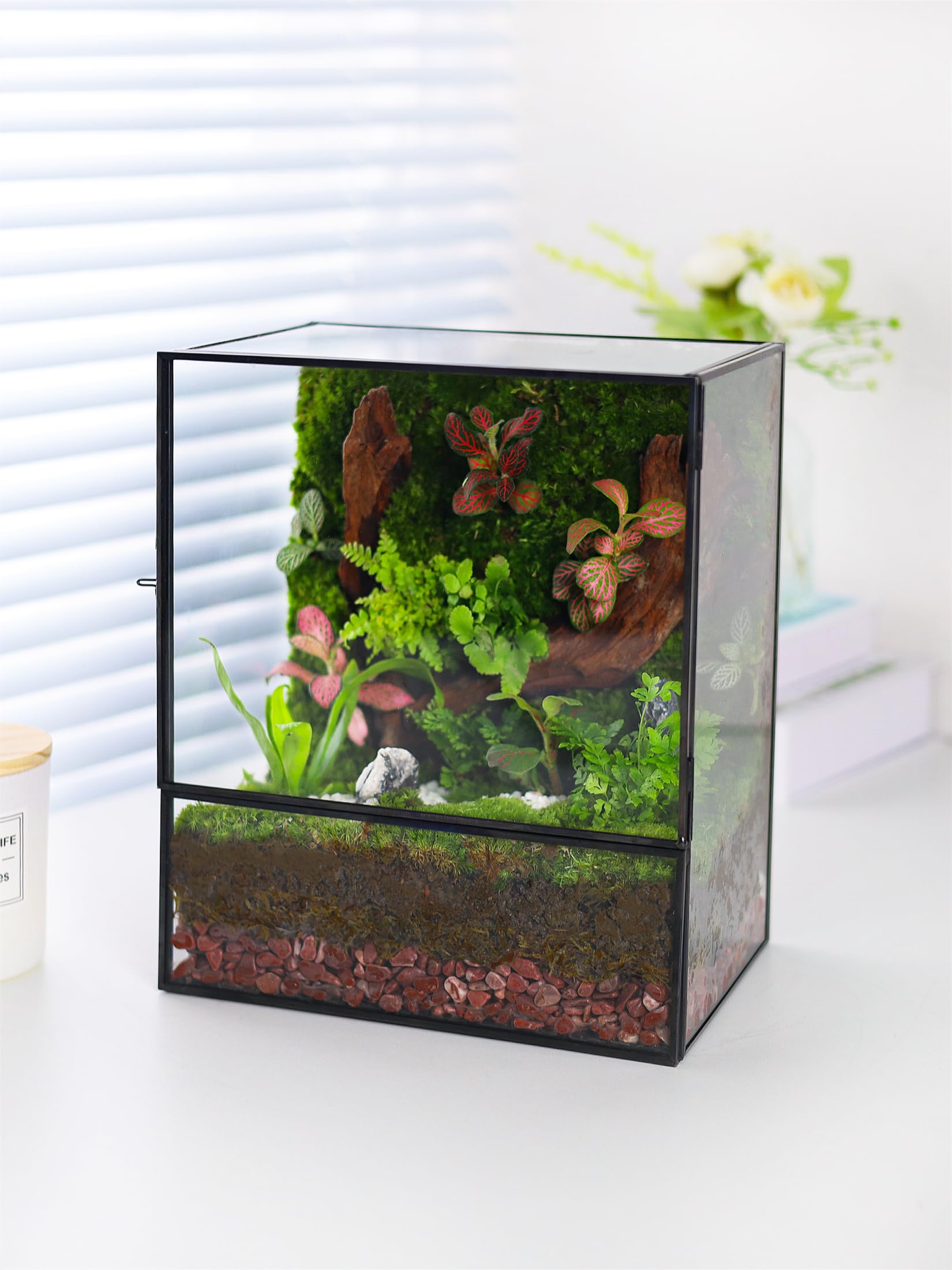 Glass Planter Terrarium with Door - Geometric Glass Greenhouse for Moss & Succulents - Indoor Tabletop Centerpiece Rectangle Black (Terrarium Only) - Perfect for Home Decor, Office Desk & Gift Ideas