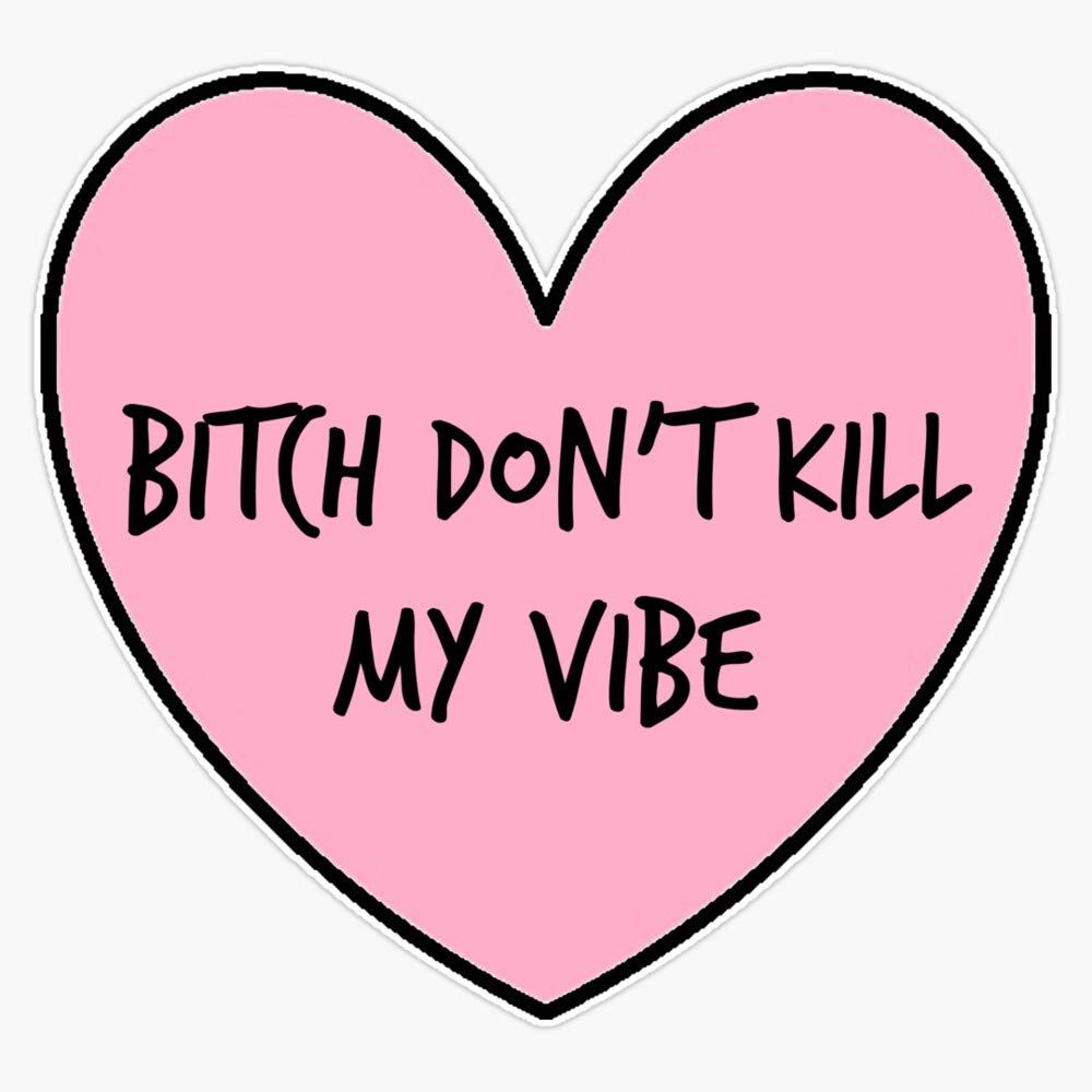Bitch Don't Kill My Vibe Sticker - 5