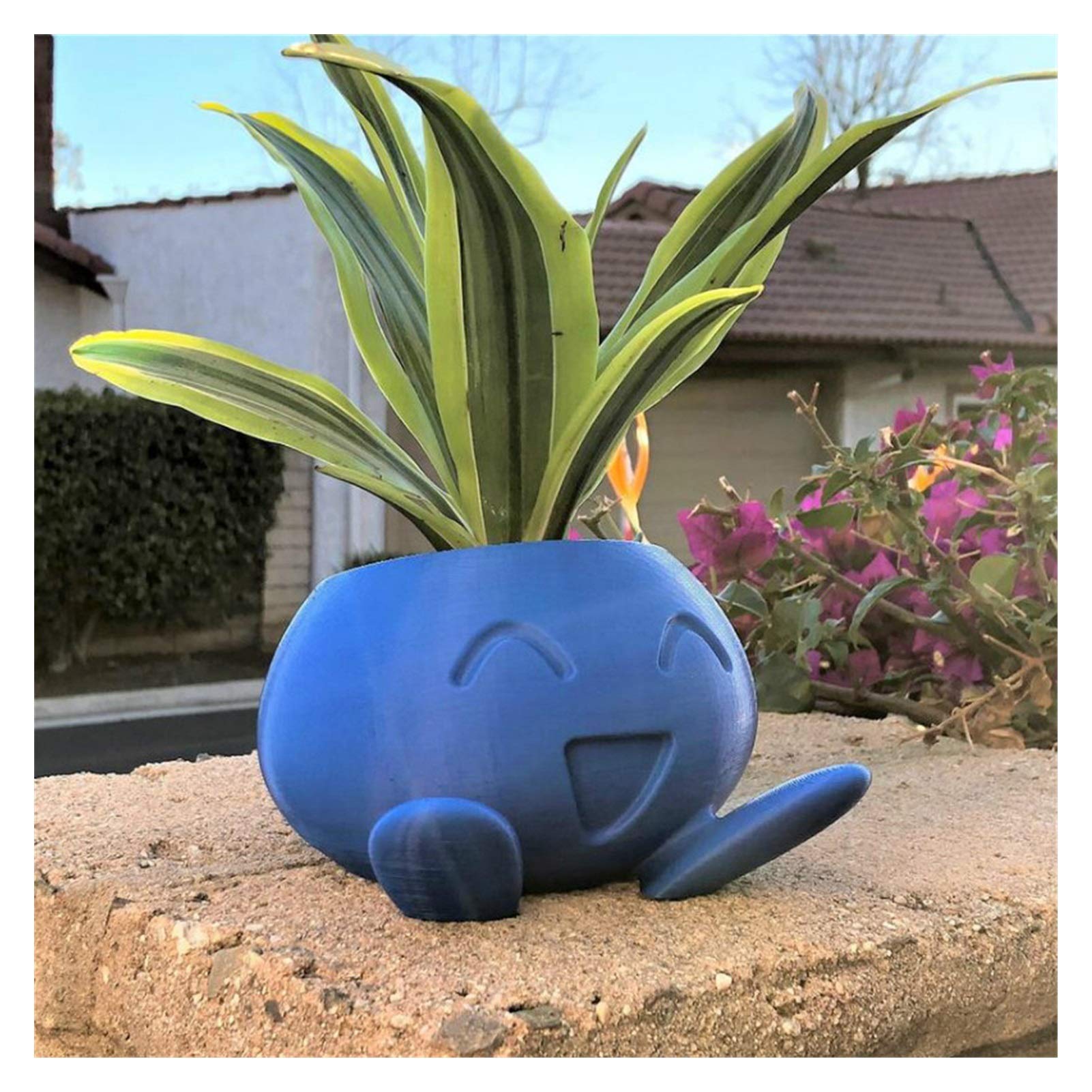 Oddish Succulent Planter - Small Blue Flower Pot for Succulents, Cacti & Air Plants | Perfect for Home, Office & Garden Decor