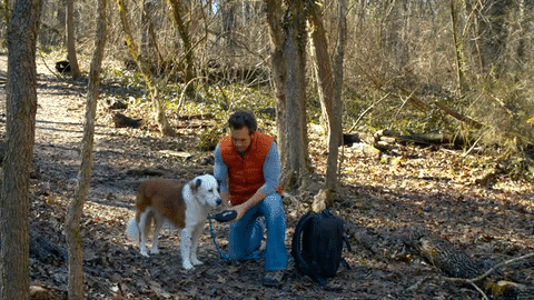 Kurgo Stash N' Dash Reflective Dog Harness for Small & Medium Dogs - Black - Perfect for Hiking, Running & Outdoor Adventures