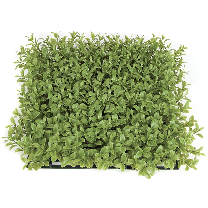 10x10x3 Inch IFR Boxwood Artificial Hedge Mat - Light Green Faux Greenery (Pack of 6) - Perfect for Indoor/Outdoor Decor, Privacy Screens, and Wedding Backdrops