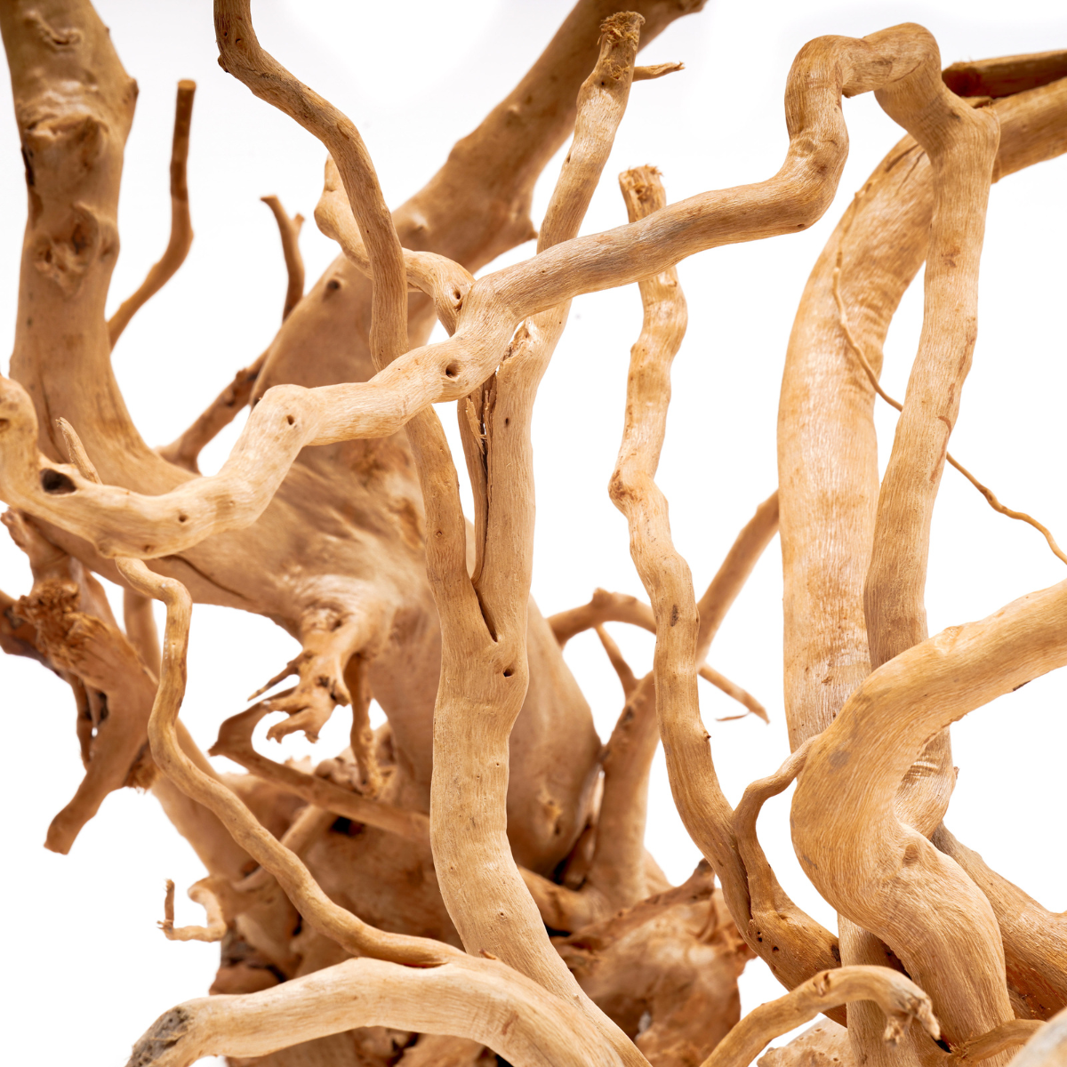 Natural Spider Wood for Aquarium Decor - Unique Driftwood for Fish Tanks, Reptile Habitats & Terrarium Landscaping (Ideal for Shrimp, Betta Fish & Aquatic Plants)