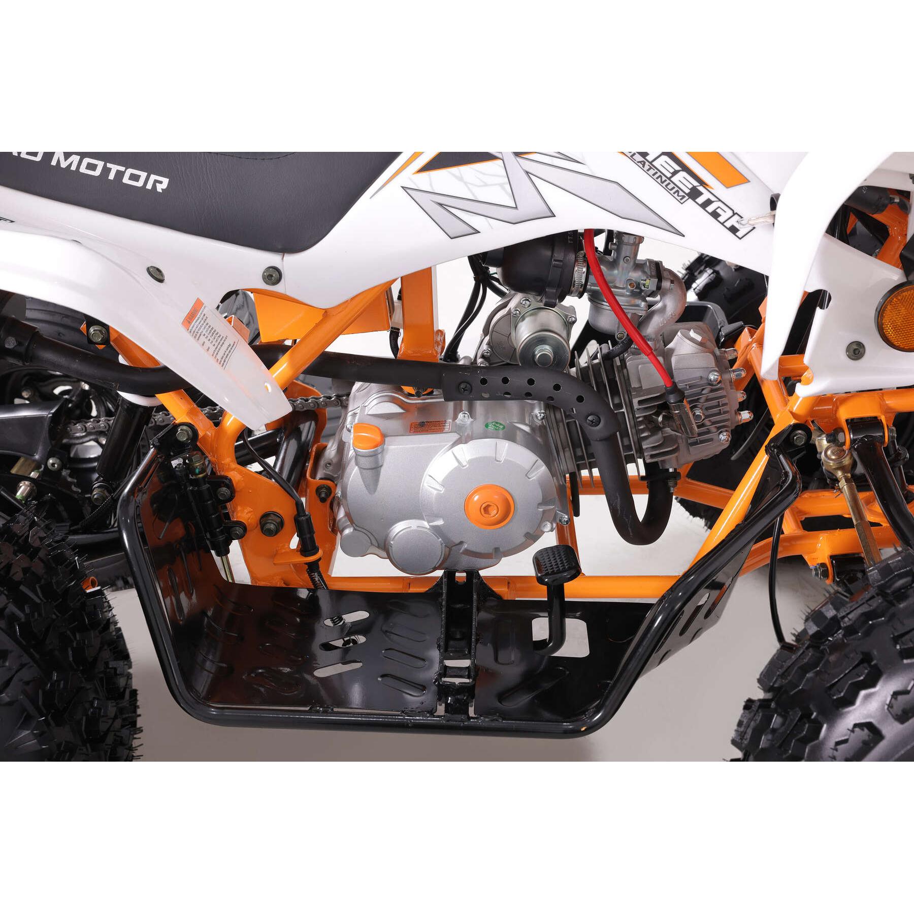 TaoMotor 125 Cheetah DLX Kids ATV - 4-Stroke Gas Powered Youth All-Terrain Vehicle for Off-Road Adventure | Perfect for Trail Riding, Backyard Fun & Outdoor Exploration
