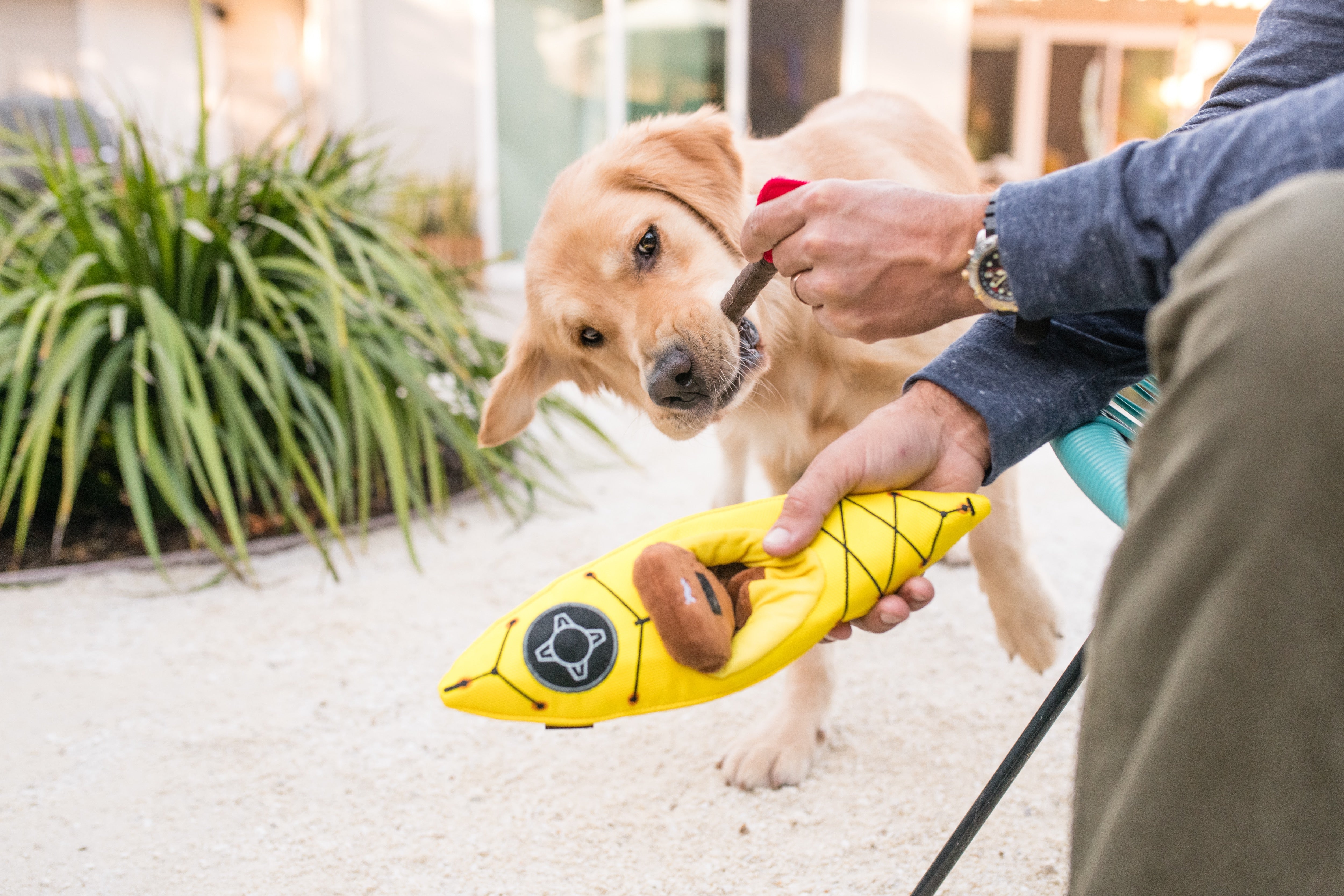 El Kayak Dog Toy - Camp Corbin™ Plush Chew Toy for Dogs | Durable & Soft Pet P.L.A.Y. Dog Chew Toy for Indoor & Outdoor Play, Fetch, and Cuddling