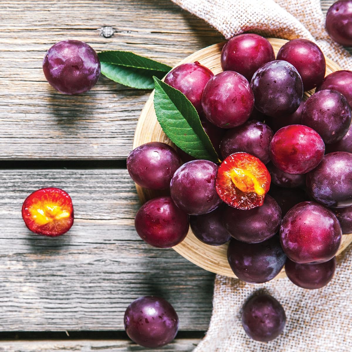 10+ Wild Plum Tree Seeds for Planting - Non-GMO Prunus Americana Perennial Fruit Seeds for Outdoor Gardens | Perfect for Home Orchards, Landscaping & Wildlife Habitats