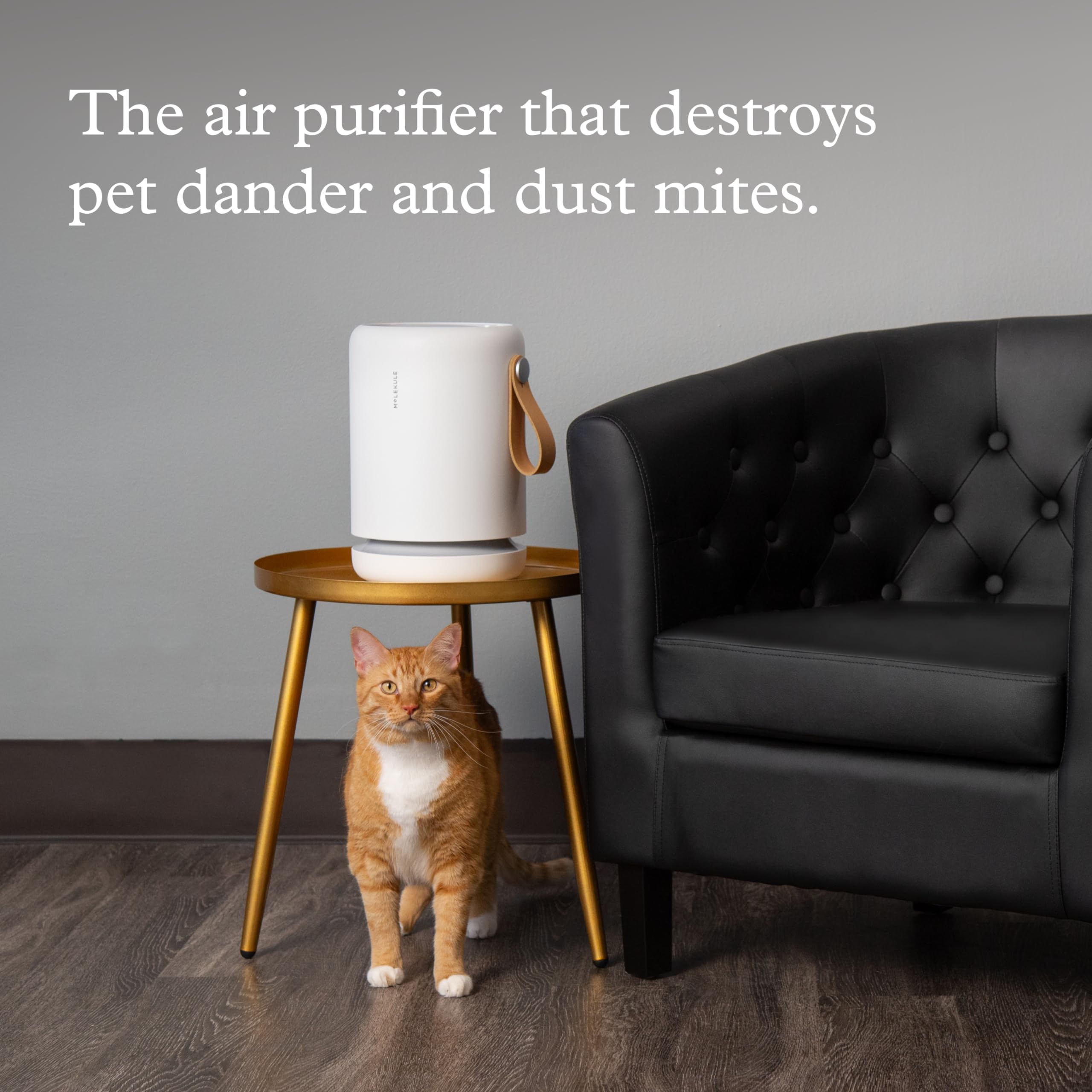 Molekule Air Mini+ White HEPA Air Purifier for Small Rooms up to 250 sq ft - Filters Mold, Smoke, Dust, Bacteria & Viruses | Alexa-Compatible for Bedroom, Nursery, Office & Home Use