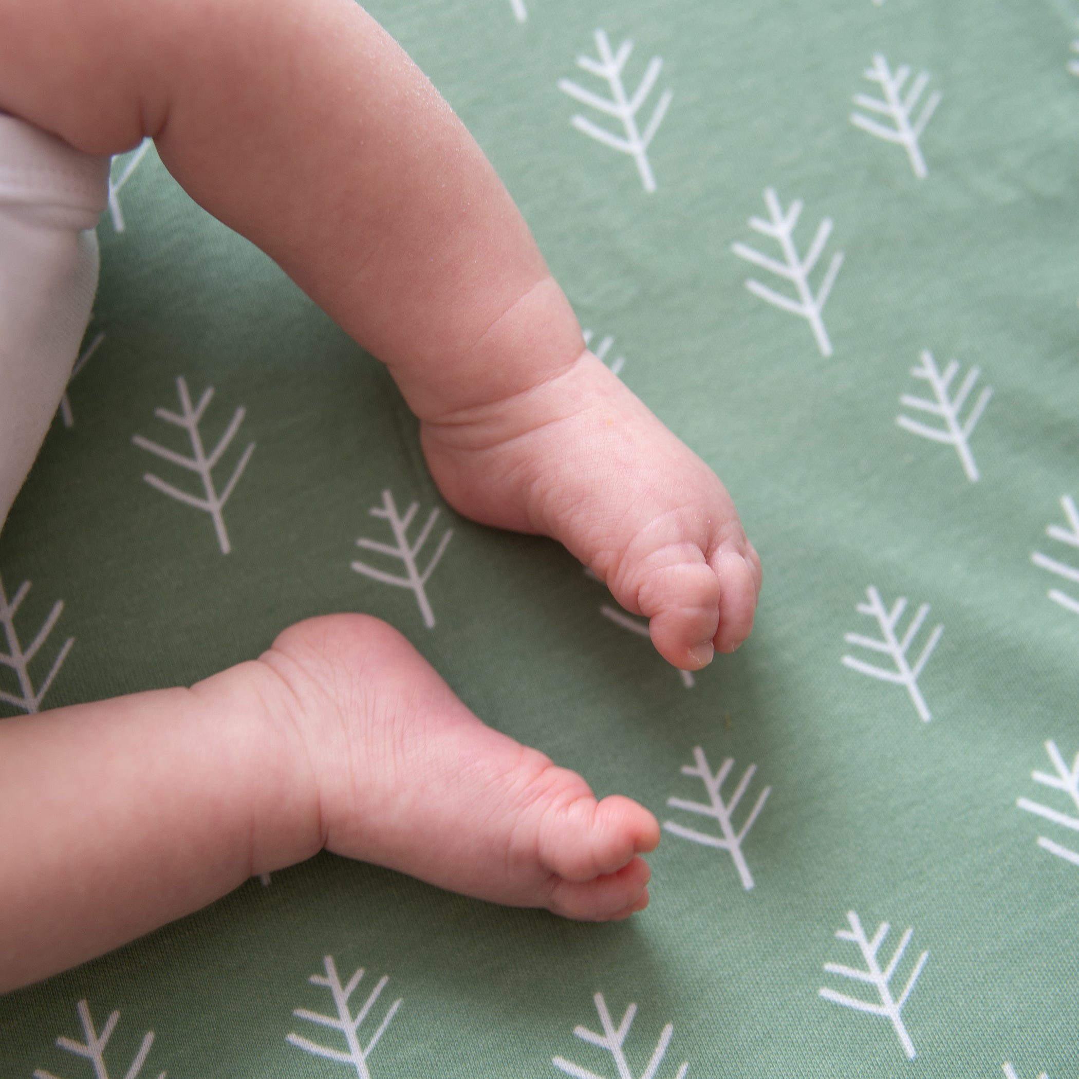 Nordic 2-Pack Jersey Cotton Fitted Sheets - Soft Breathable Crib Sheets for Baby (Avocado Green & Forest Green) - Perfect for Nursery, Daycare & Travel Cribs