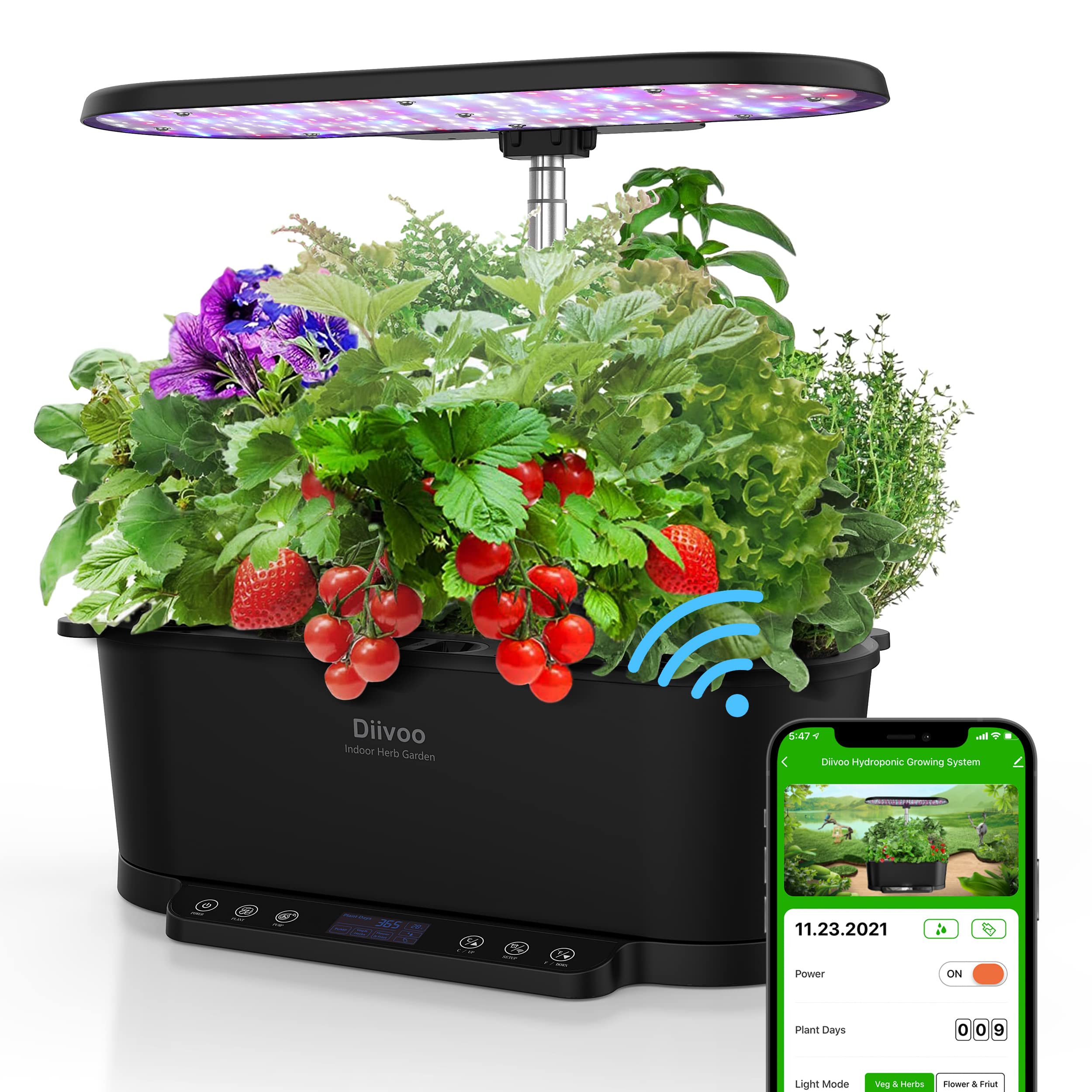 Diivoo Smart Indoor Herb Garden Kit - WiFi Hydroponic Growing System with 5.5L Water Tank, App Control, LED Grow Lights & Automatic Timer - Perfect for Home Kitchen Gardening, Fresh Basil, Mint & Vegetables Year-Round