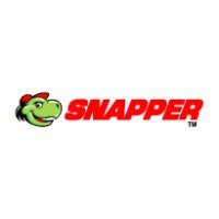 Snapper Replacement Part #7031079YP Thrust Washer - Compatible with Lawn Mowers & Outdoor Power Equipment - Durable & Precision Fit for Smooth Operation