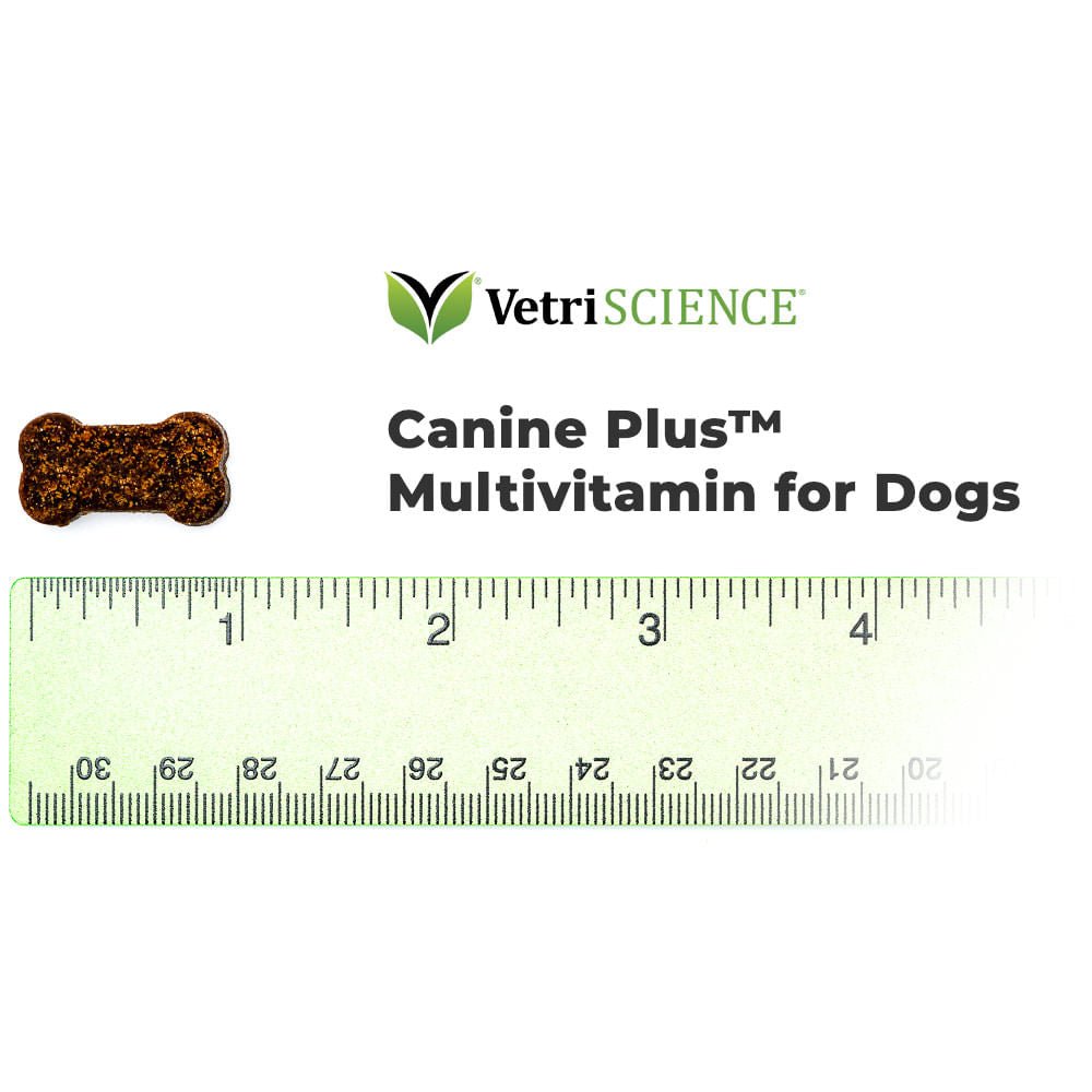 Canine Plus Dog Multivitamin Chews - 30 Bite-Sized Soft Supplements for Joint, Skin & Coat Health | Daily Vitamin Treats for Small, Medium & Large Dogs | Perfect for Active Pets & Senior Dogs