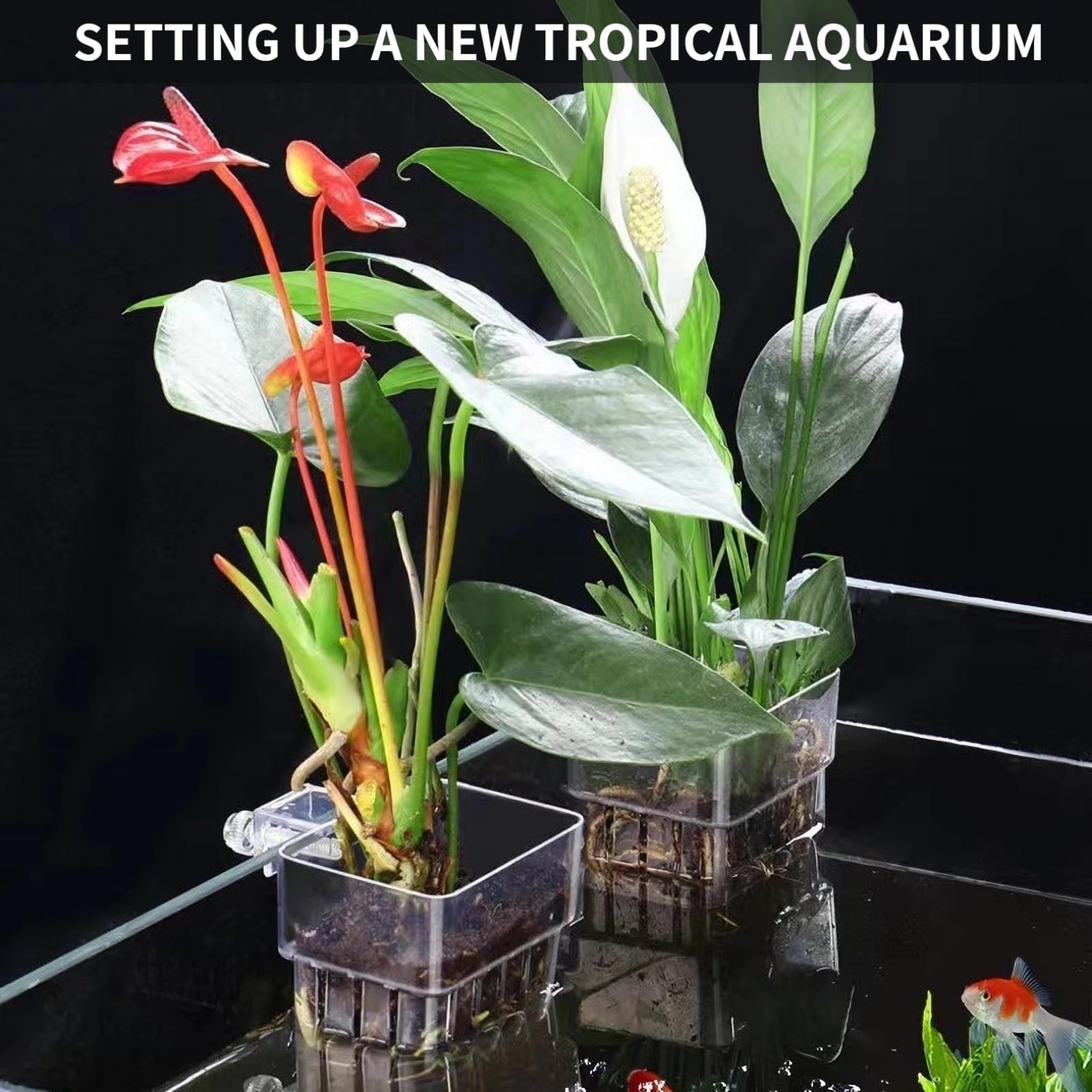 2 PCS Aquarium Plant Holder - Top Hanging Fish Tank Plant Pot with Suction Cups for Aquatic Plants | Perfect for Freshwater & Saltwater Aquarium Decoration