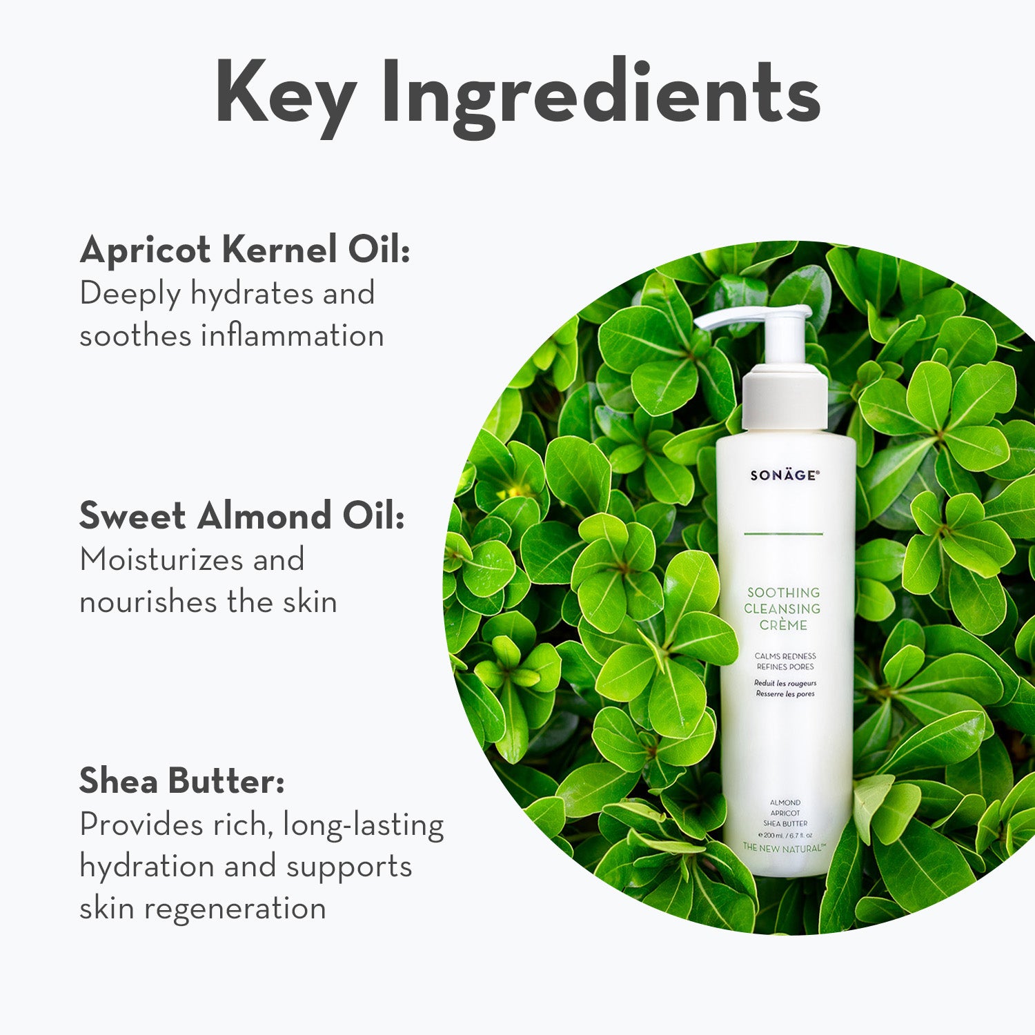 Soothing Cleansing Cream for Sensitive Skin - Gentle Face Wash & Makeup Remover - Hydrating & Nourishing Daily Skincare - Perfect for Morning & Night Routine