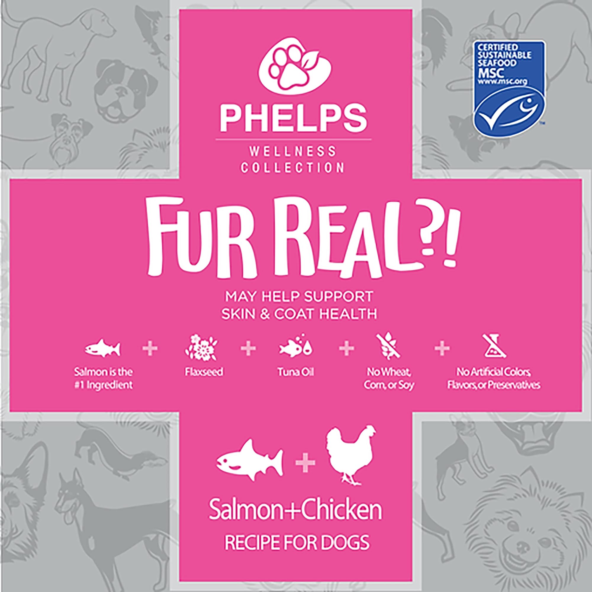 Premium Fur Real Skin & Coat Salmon & Chicken Recipe Dog Treats - 2 Pack (4.5 oz Each) - Healthy Snacks for Shiny Coat & Skin - Perfect for Training, Rewards & Daily Treats